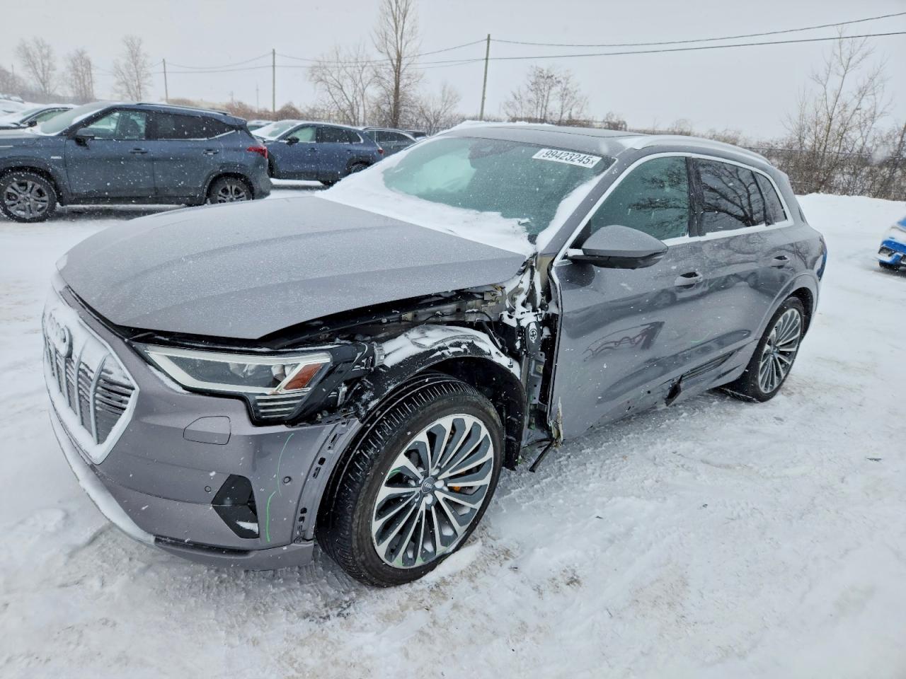 2019 Audi e-tron Prestige, VIN WA1VAAGE0KB008742 — Side