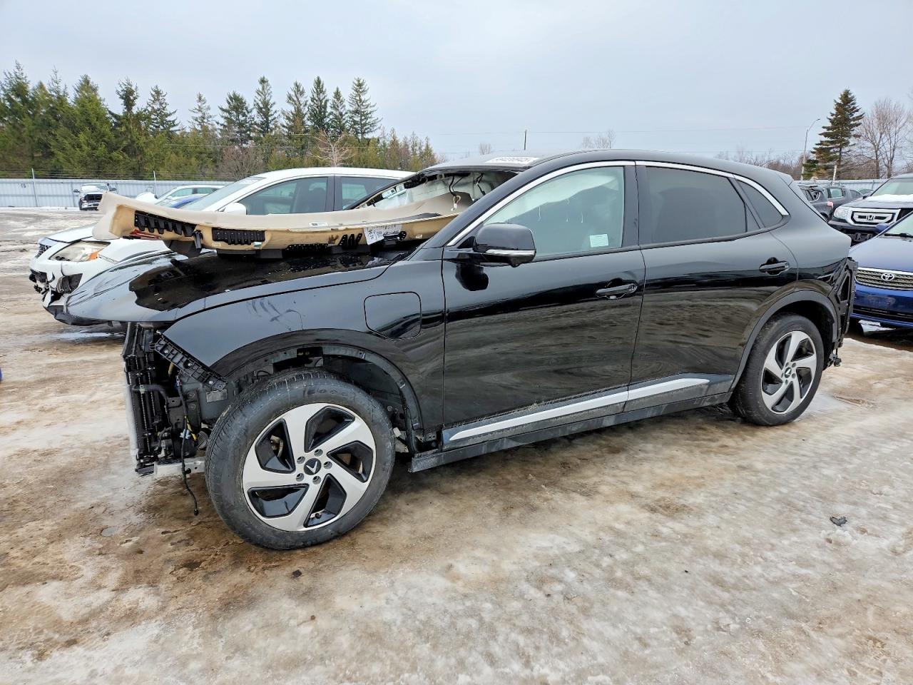 2024 VinFast VF 8 Eco, VIN RLLV1AEB6RH007719 — Front end