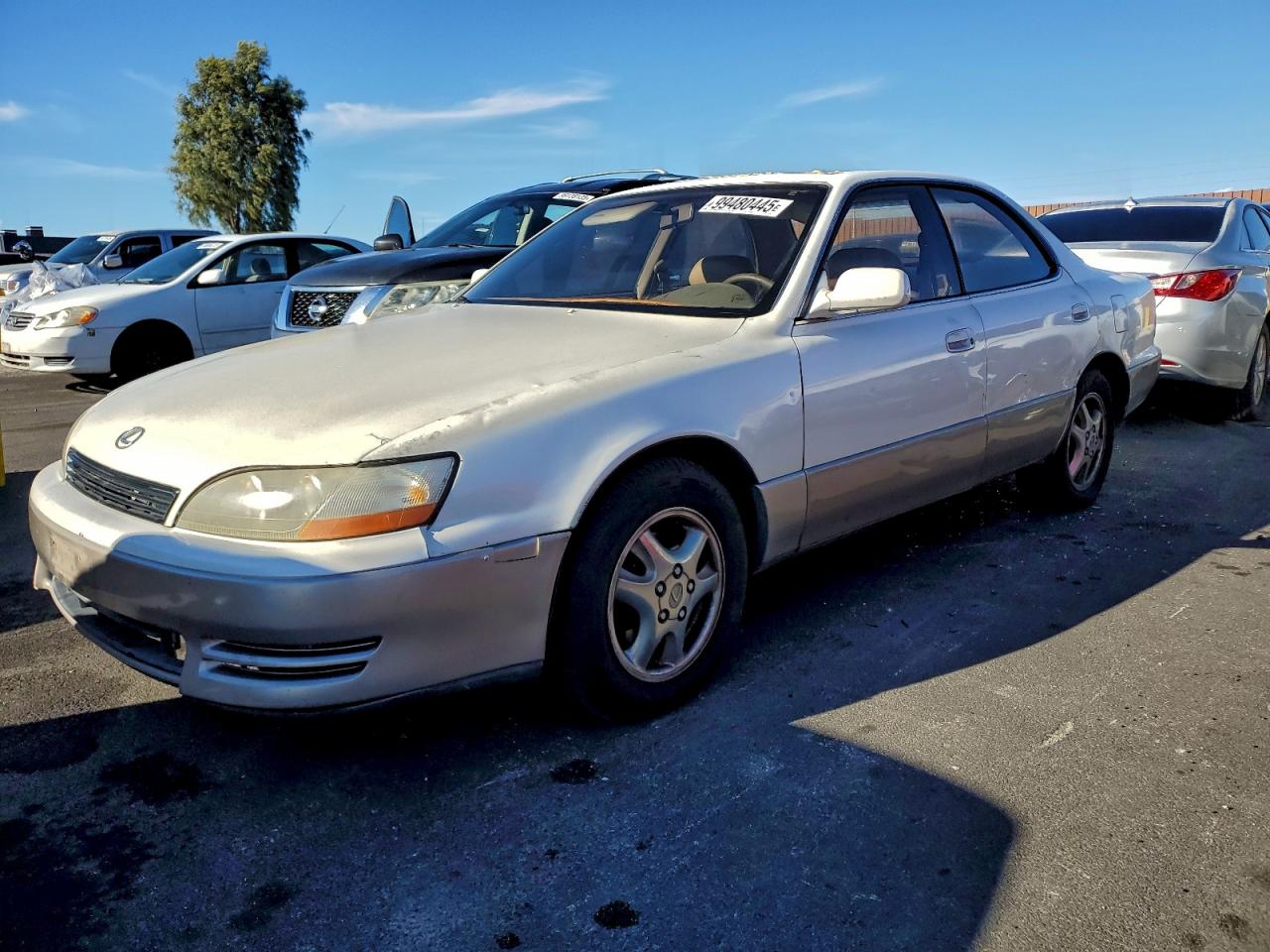 1996 Lexus ES 300, VIN JT8BF12G4T0154544 — Мелкие вмятины и царапины