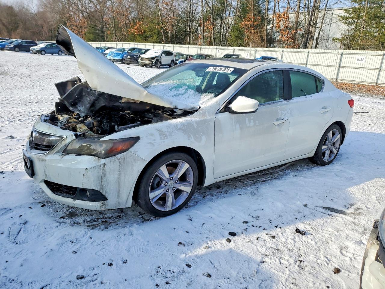 2013 Acura ILX Technology, VIN 19VDE1F71DE013083 — Burn