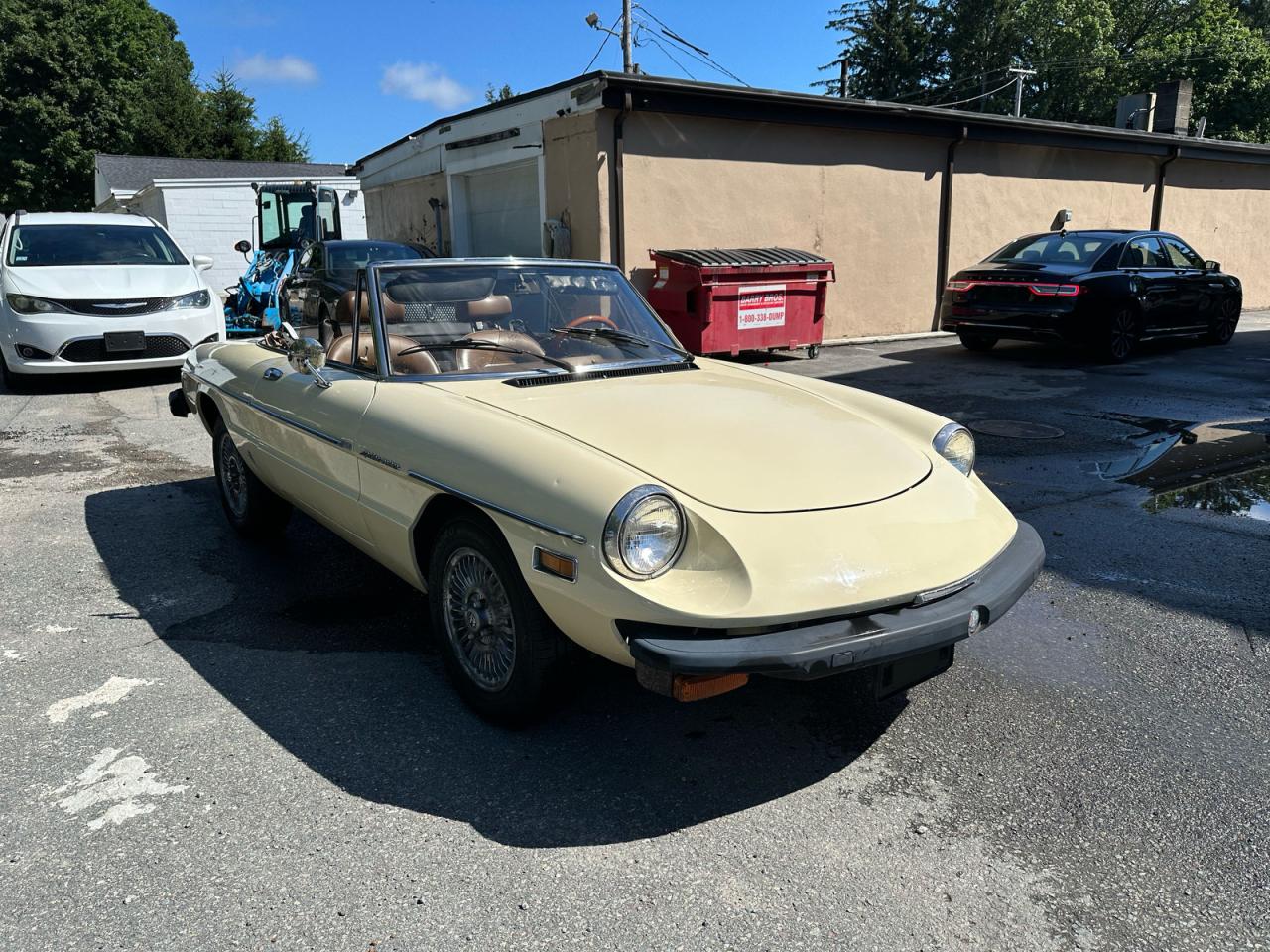 1982 Alfa Romeo Spider Veloce, VIN ZARBA5418C1015601 — Normal wear