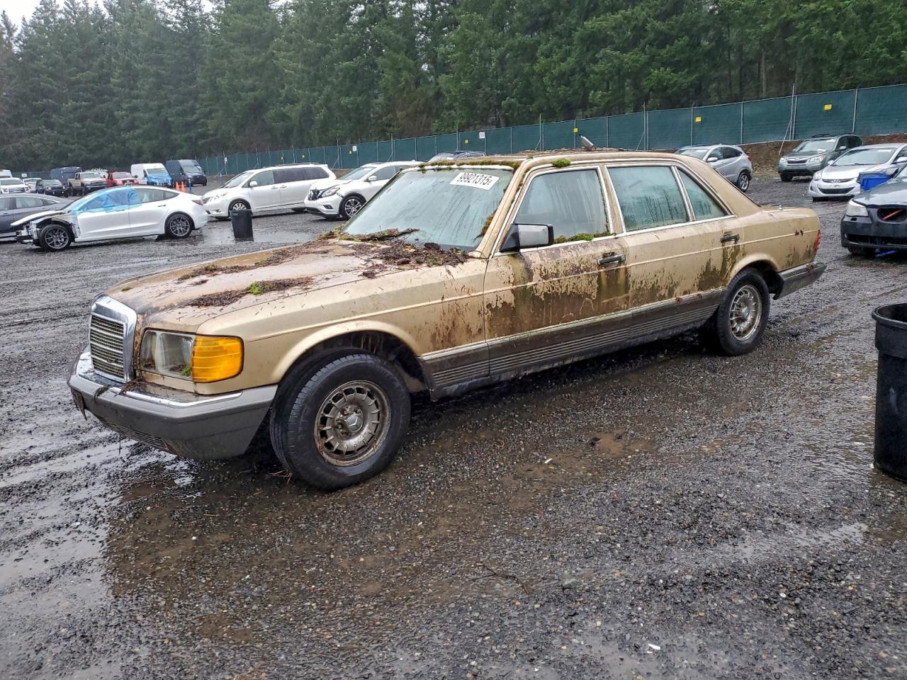1981 Mercedes-Benz 380, VIN WDBCA33A6BB012143 — Minor dents and scratches