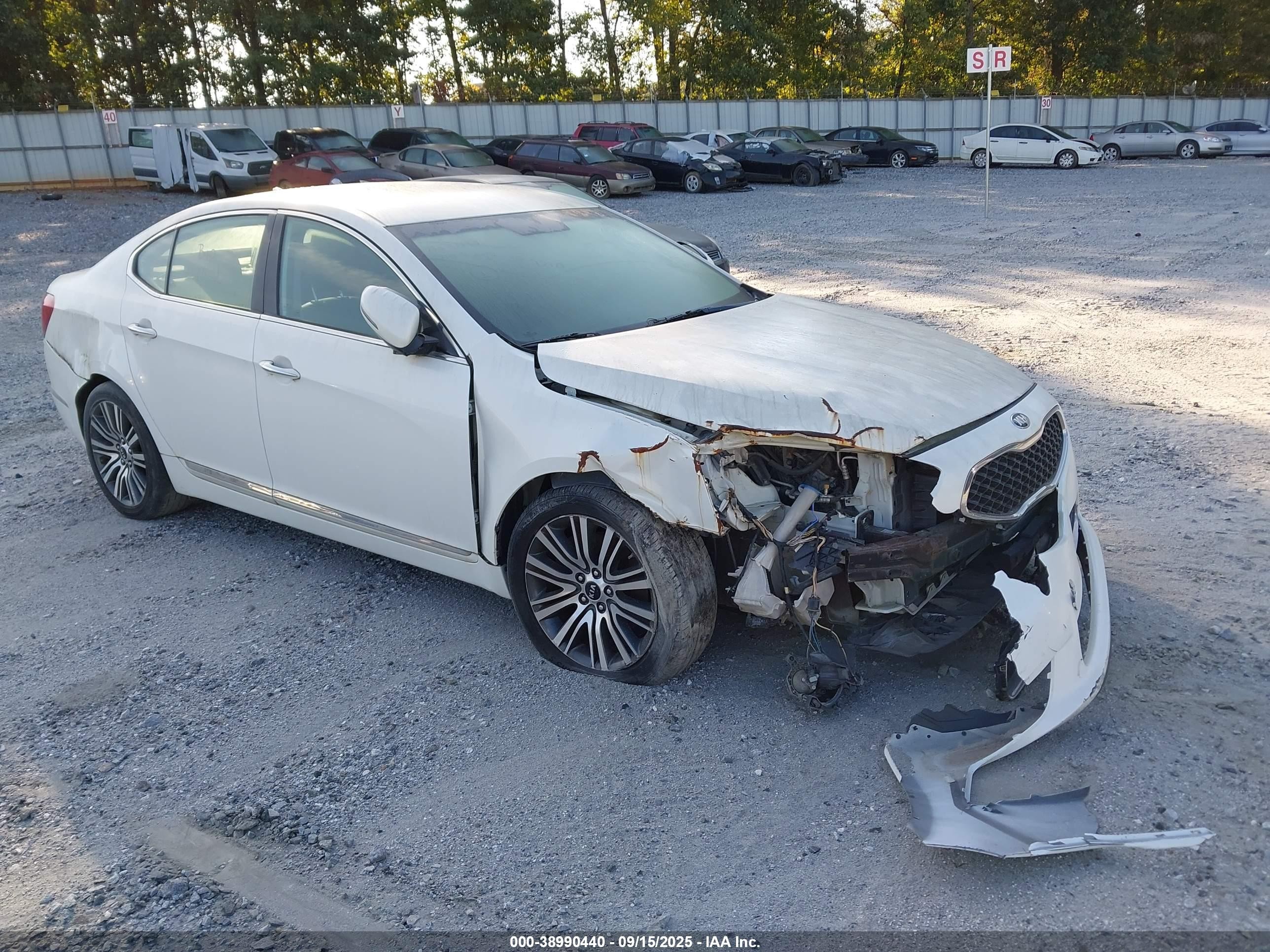 2014 Kia Cadenza Premium, VIN KNALN4D75E5140579 — Biohazard / chemical