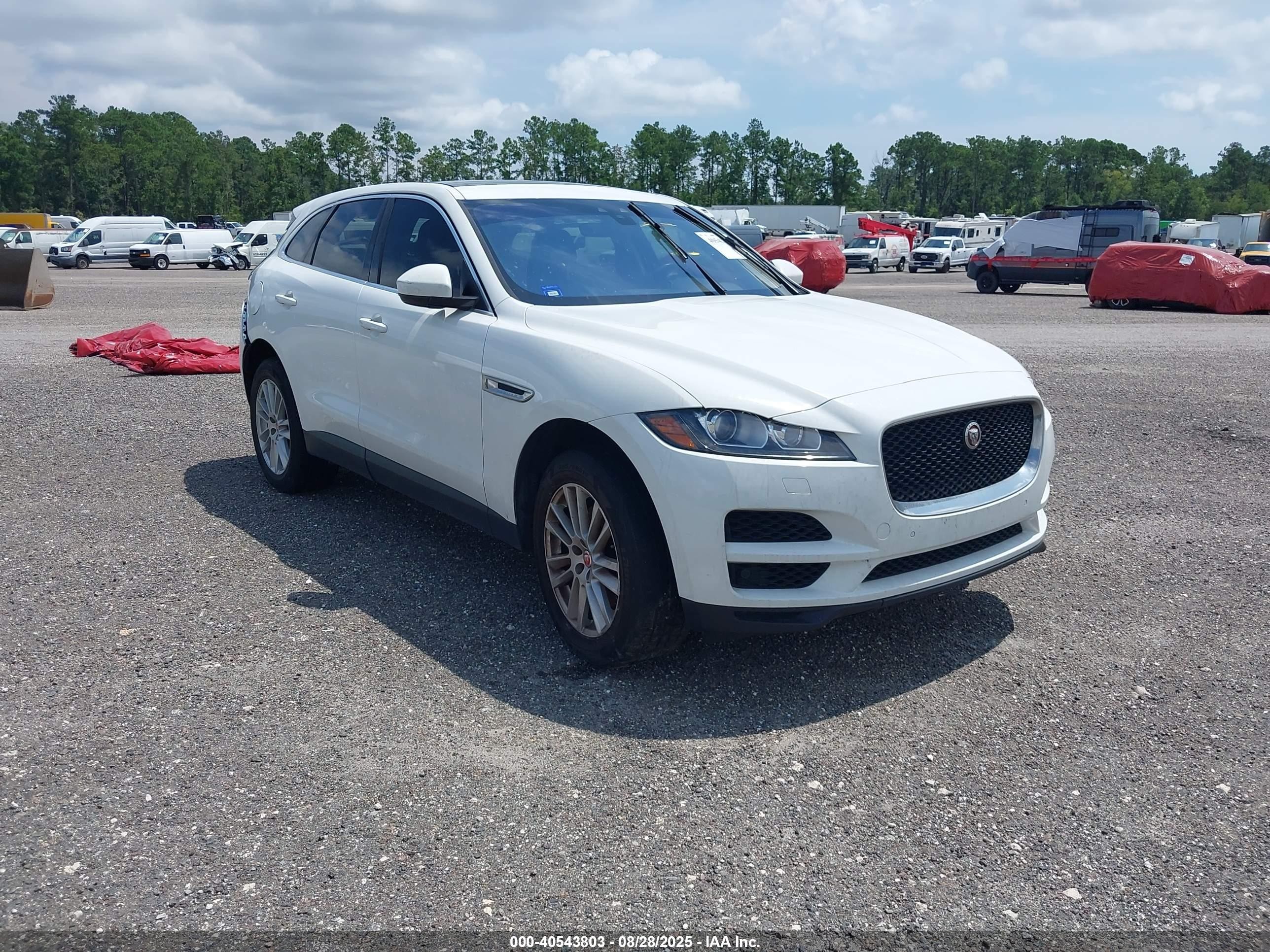 2019 Jaguar F-Pace 25t Prestige, VIN SADCK2GX6KA390884 — Rear end