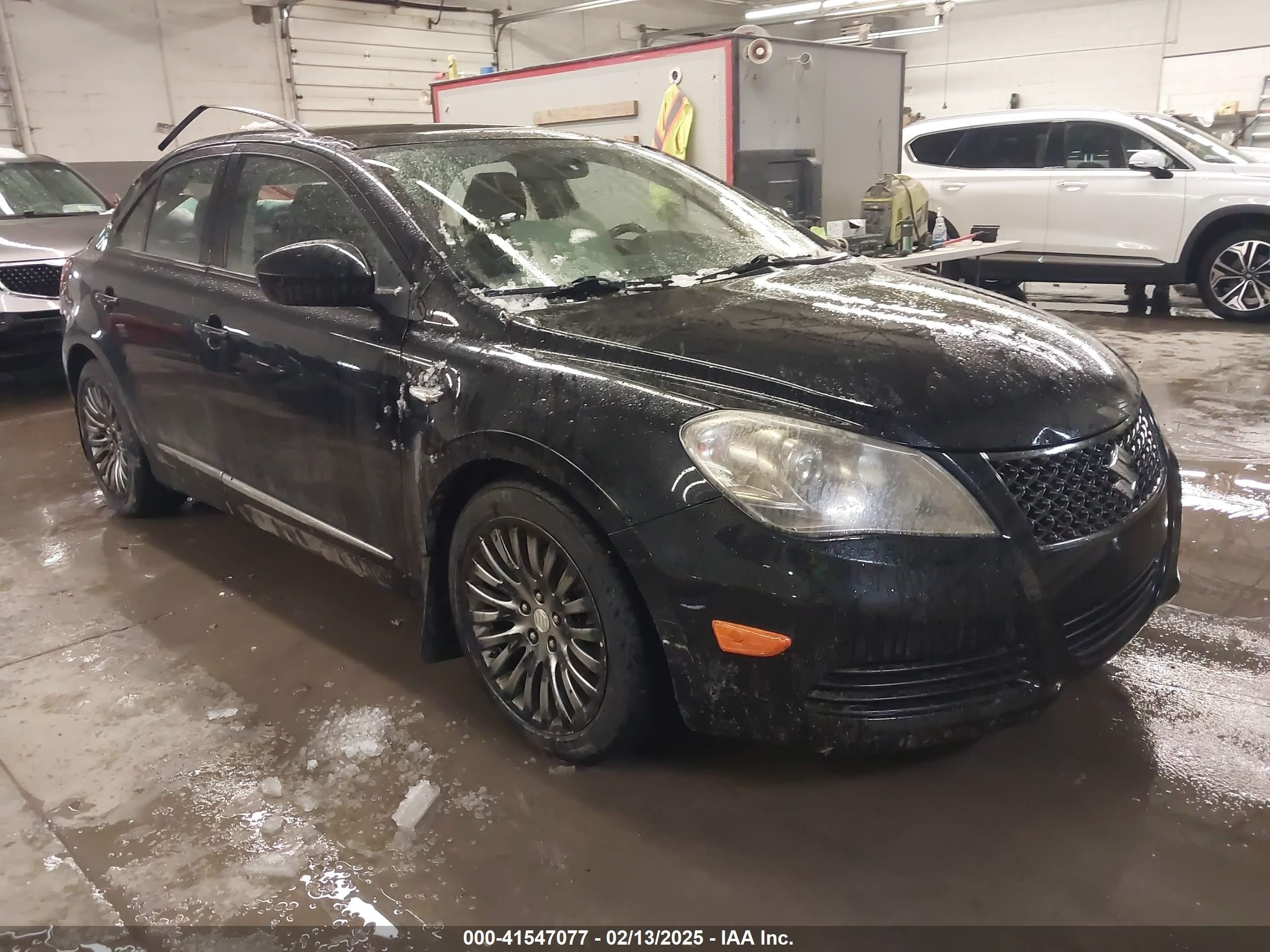 2011 Suzuki Kizashi SE, VIN JS2RF9A31B6111181 — Roof