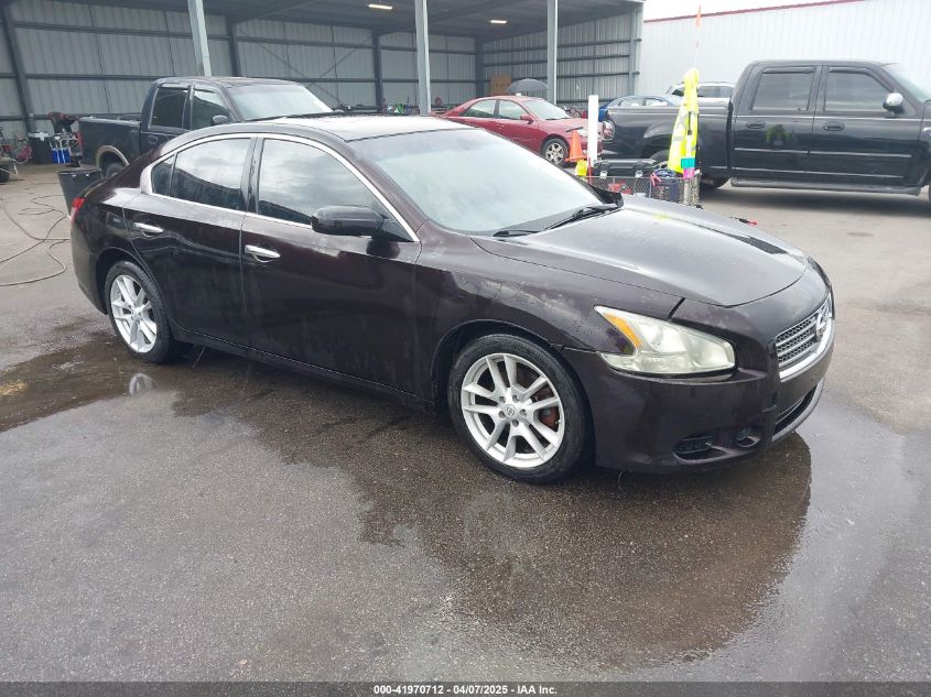 2010 Nissan Maxima SV, VIN 1N4AA5APXAC823597 — Front end