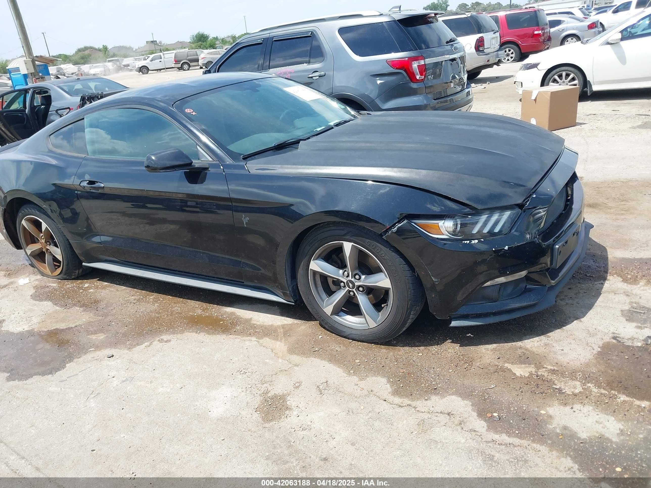 2015 Ford Mustang V6, VIN 1FA6P8AM3F5392995 — Front end