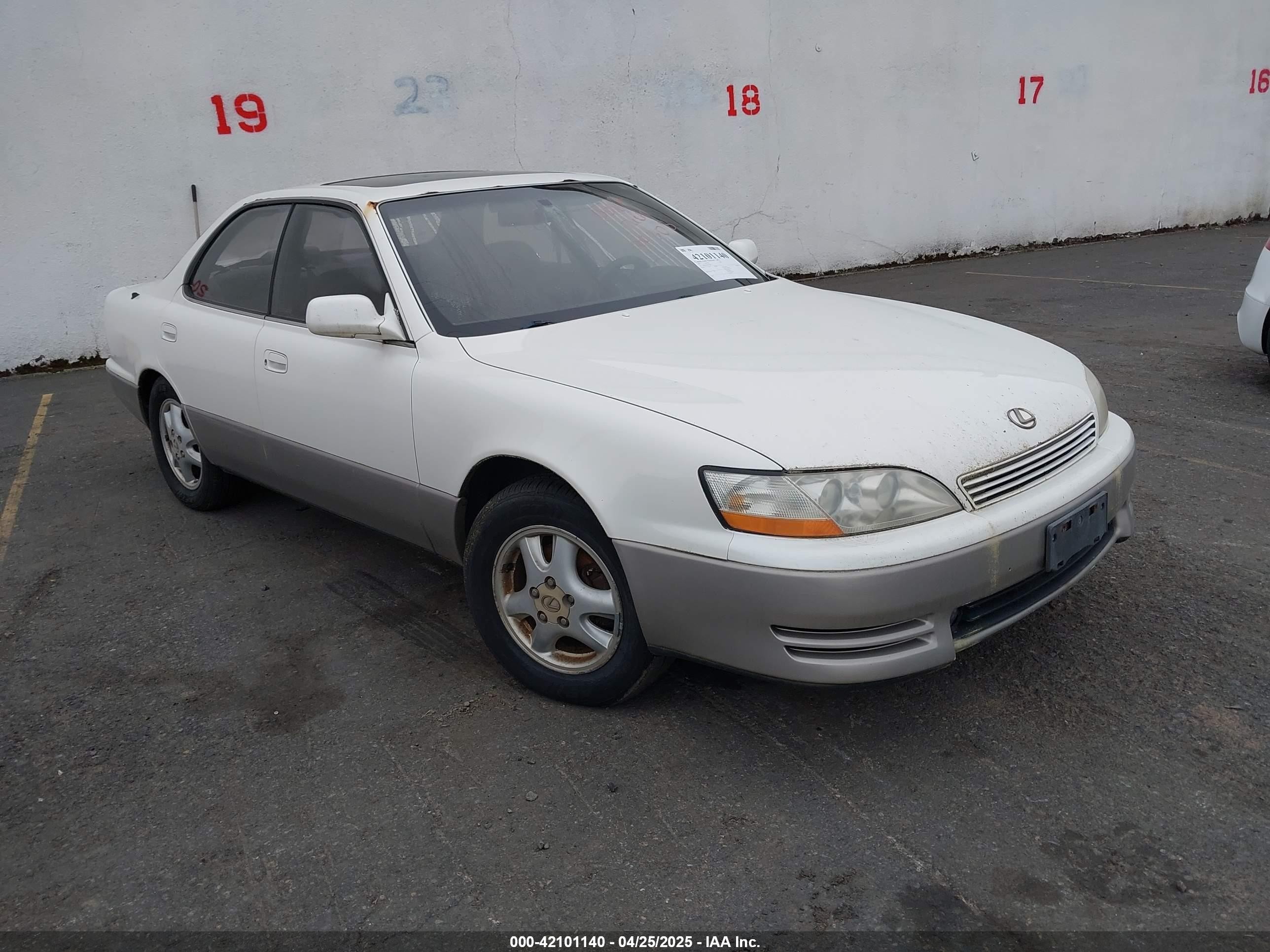 1993 Lexus ES 300, VIN JT8VK13T2P0178013 — Биологическое загрязнение