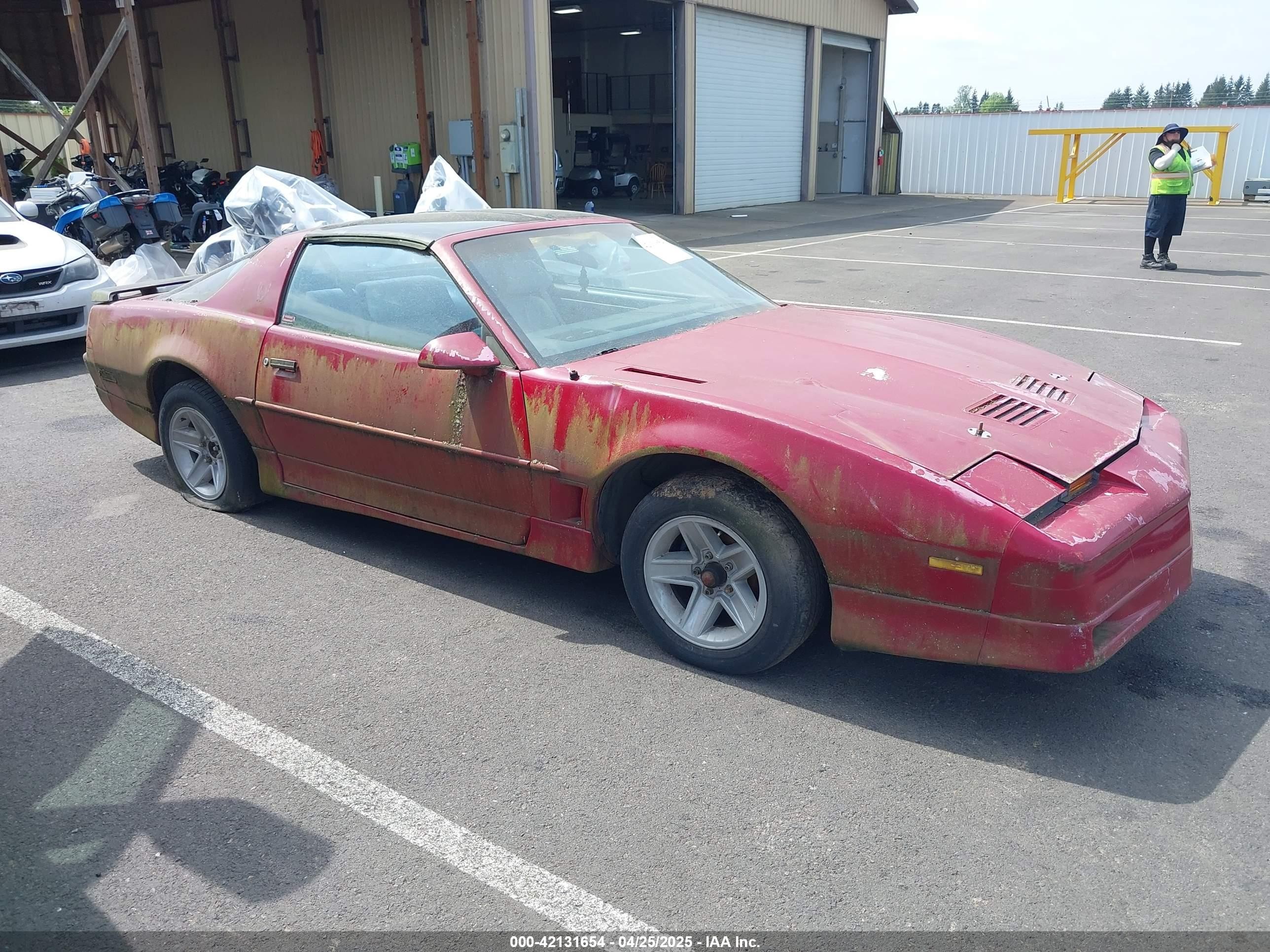 1988 Pontiac Firebird Trans Am, VIN 1G2FW21E0JL216496 — All over
