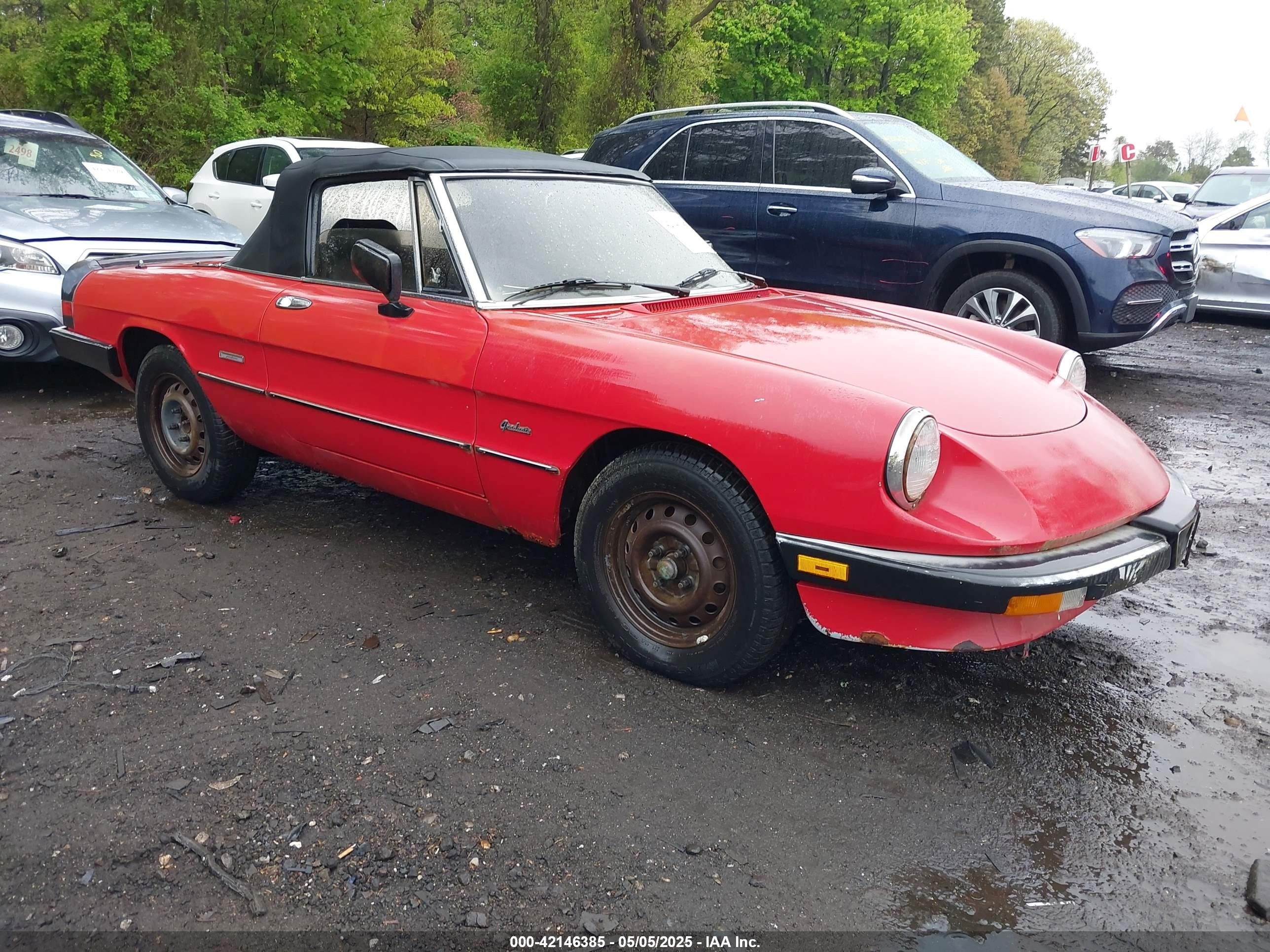 1988 Alfa Romeo Spider Graduate, VIN ZARBA5644J1062094 — Перед