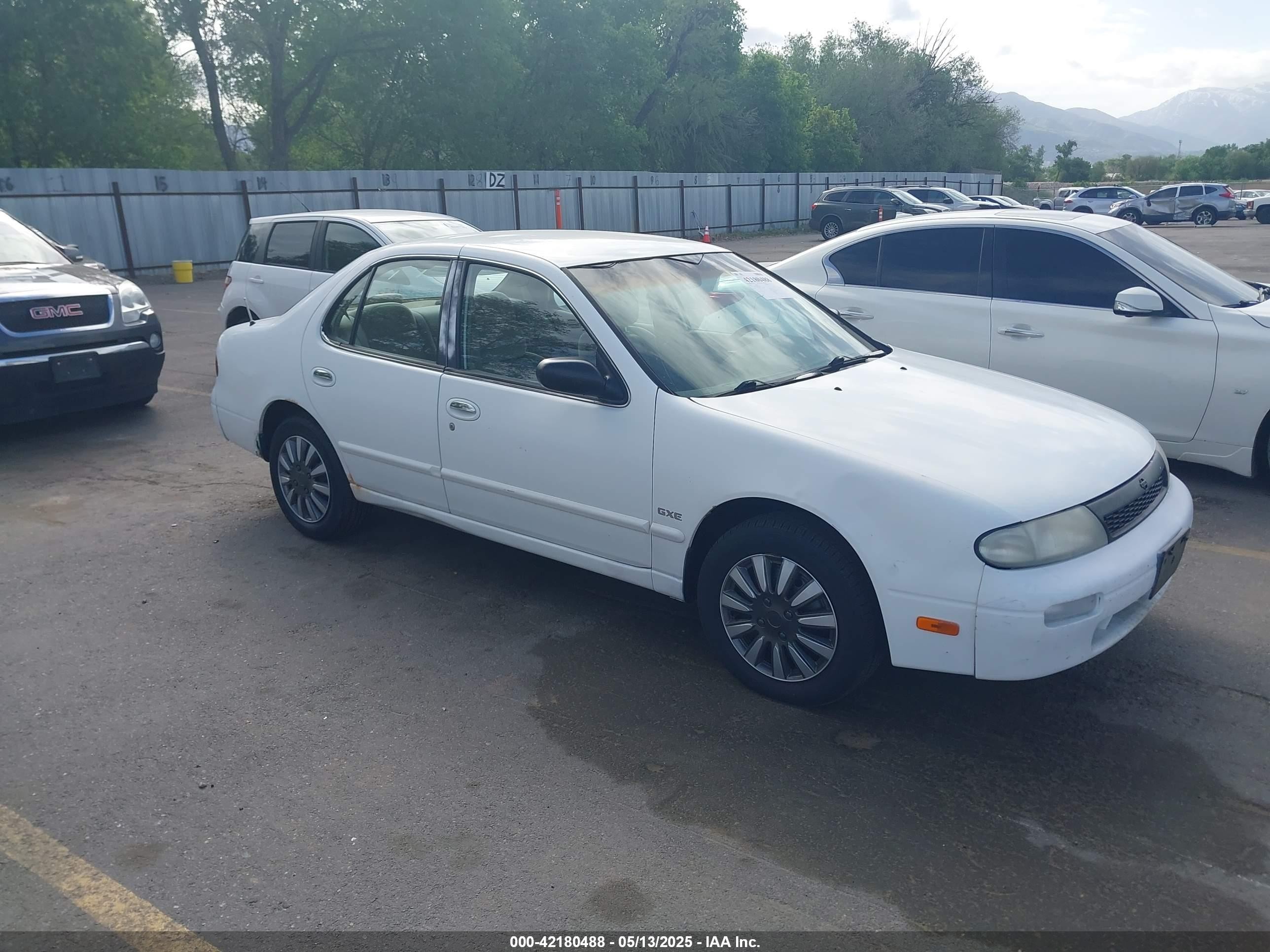 1994 Nissan Altima GLE, VIN 1N4BU31D7RC223024 — All over