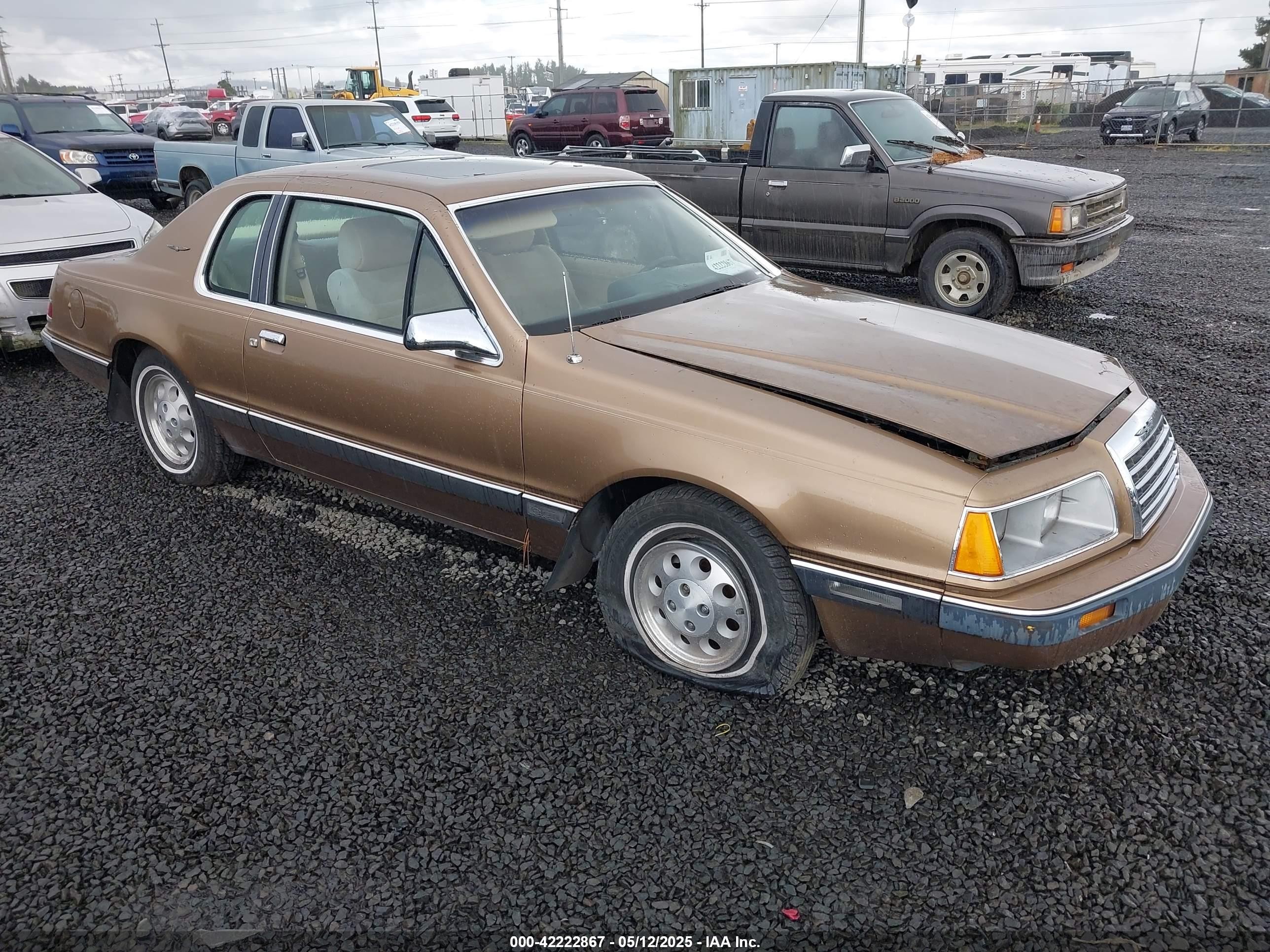 1985 Ford Thunderbird Fila, VIN 1FABP46F2FH175017 — Normal wear