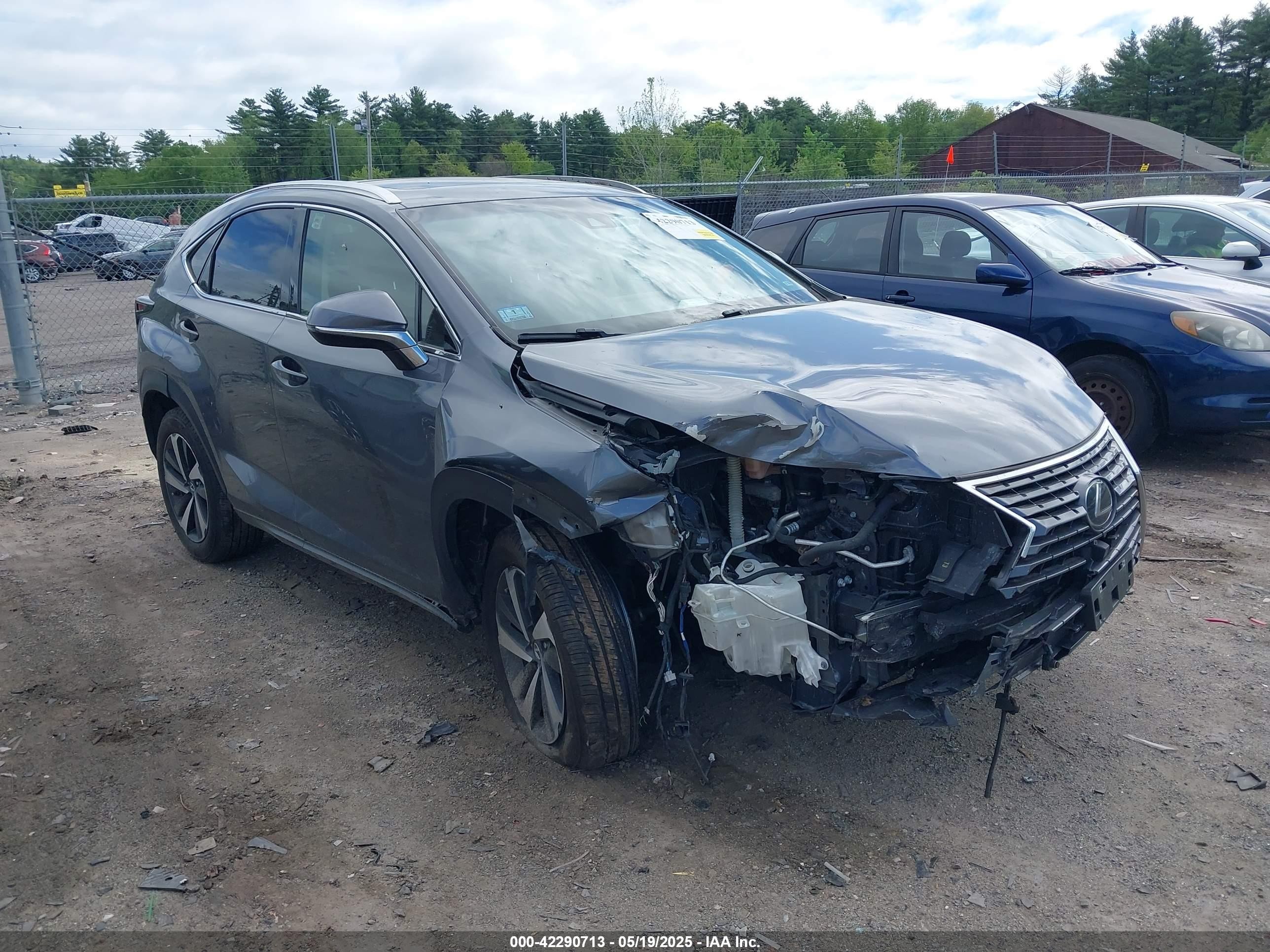 2018 Lexus NX 300, VIN JTJBARBZ9J2150391 — Front end