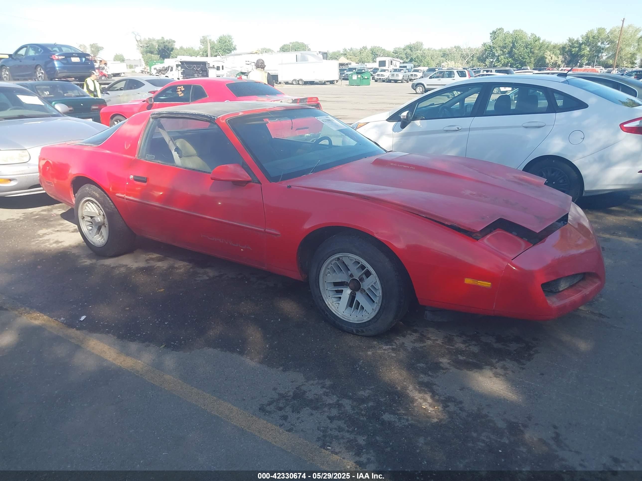 1991 Pontiac Firebird, VIN 1G2FS23F5ML238659 — All over