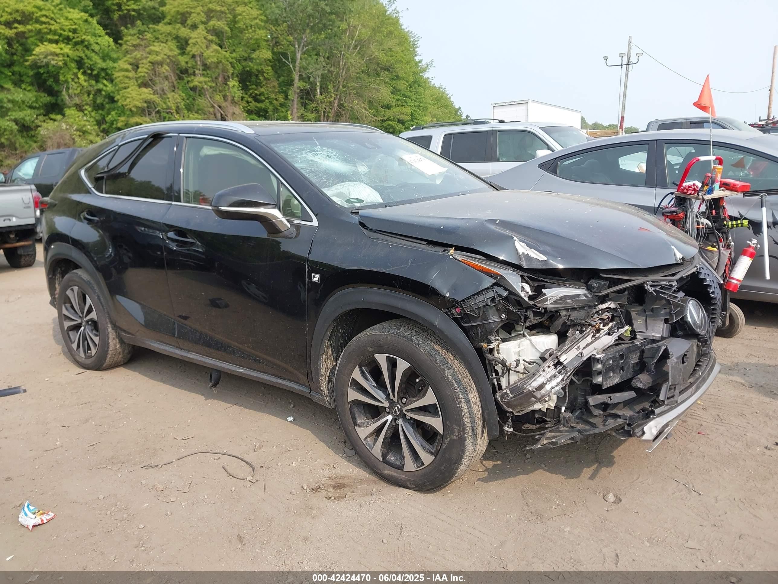2018 Lexus NX 300, VIN JTJBARBZ7J2165701 — Front end