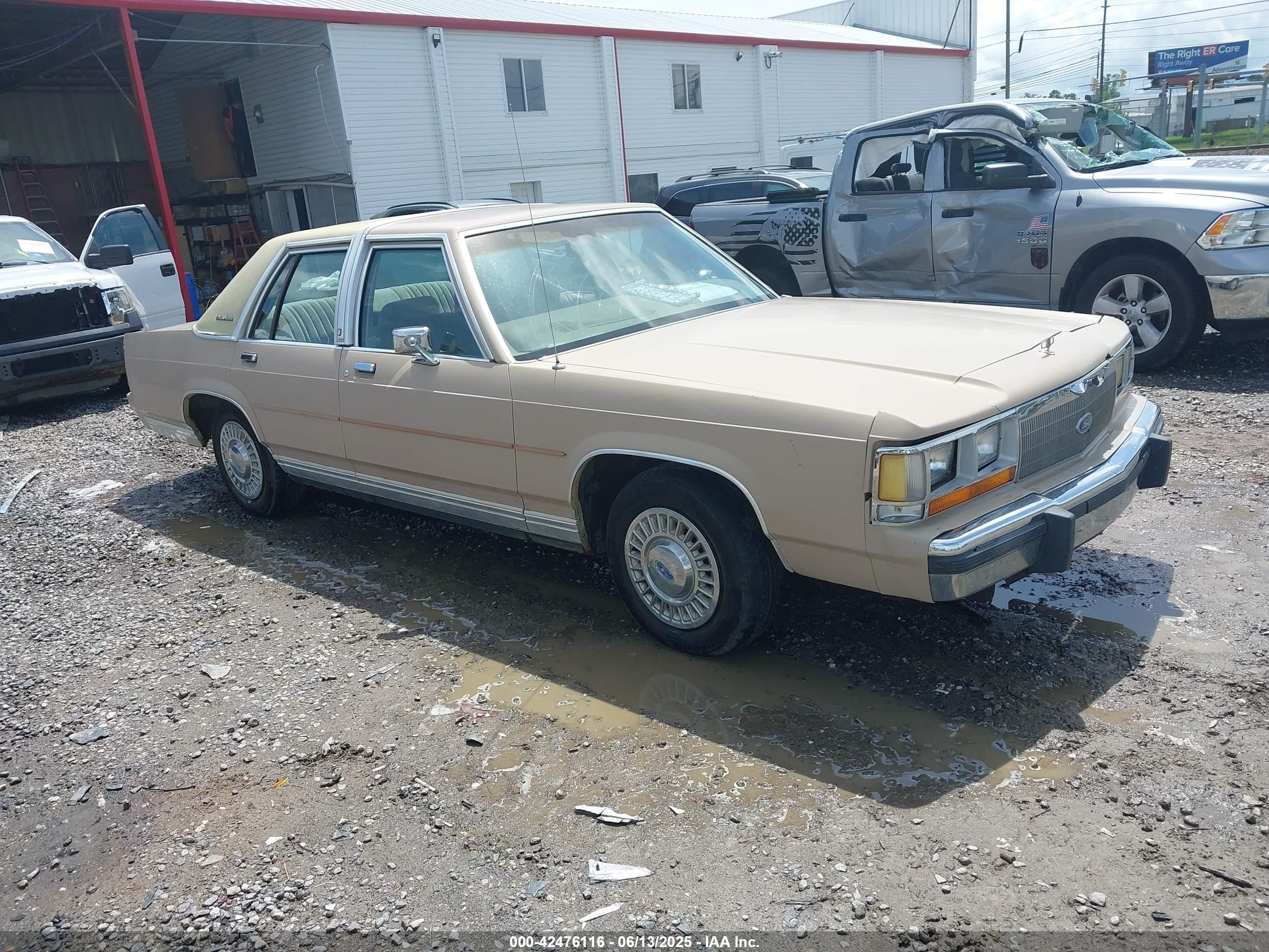 1989 Ford Crown Victoria, VIN 2FABP73F6KX212652 — Front end