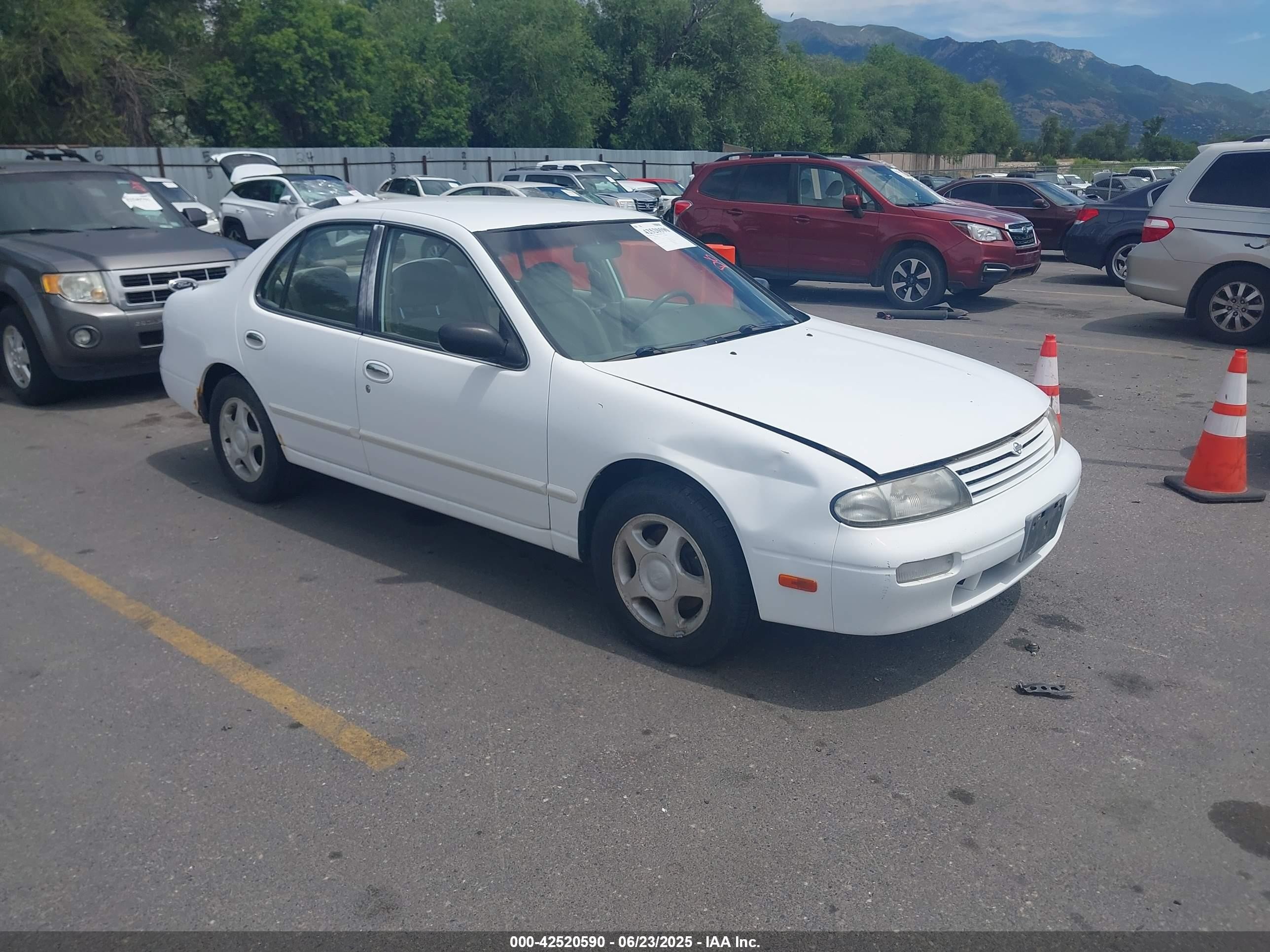 1996 Nissan Altima XE, VIN 1N4BU31D6TC118403 — All over