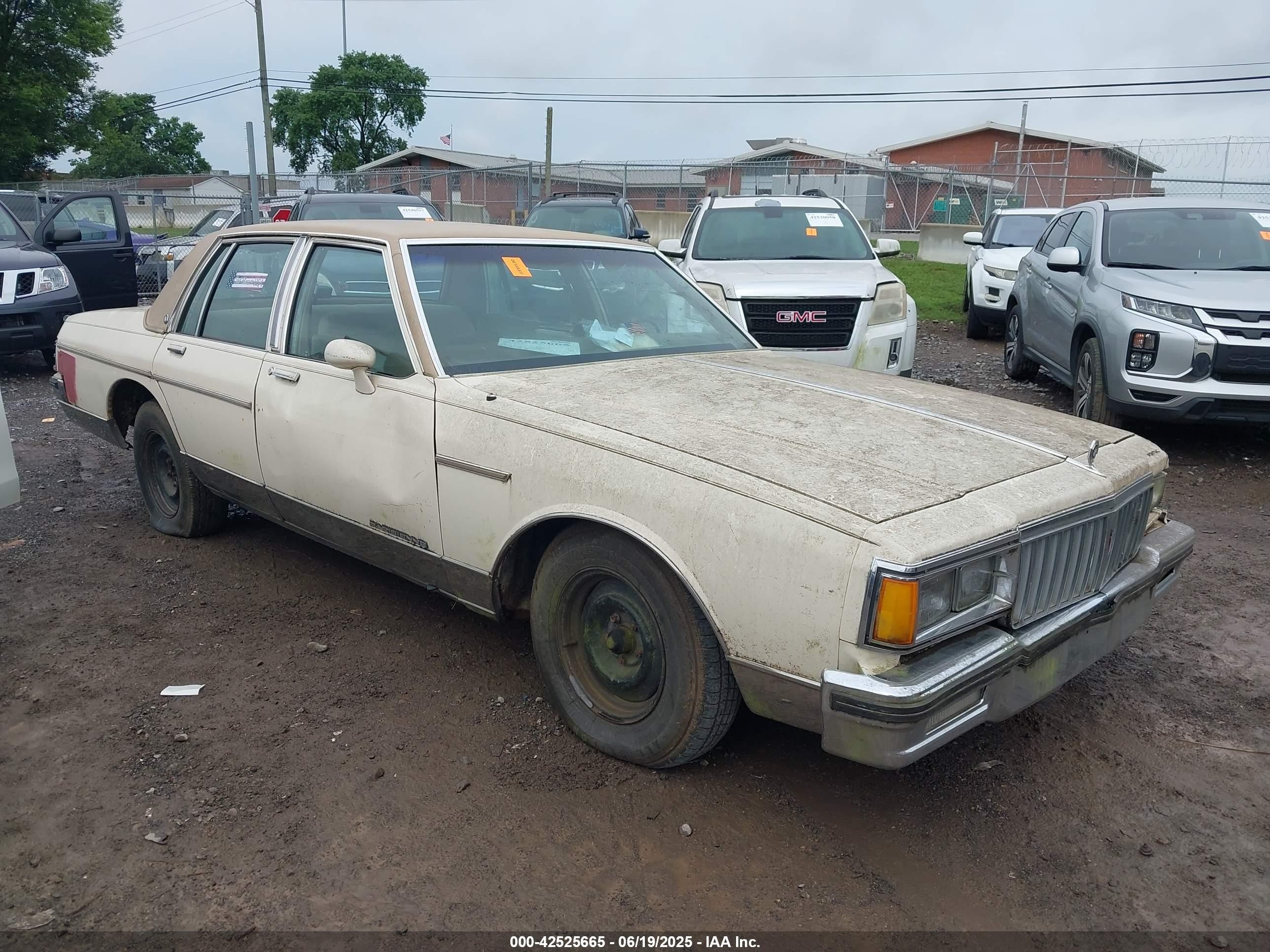 1985 Pontiac Parisienne, VIN 1G2BL69H4FX250910 — Front end