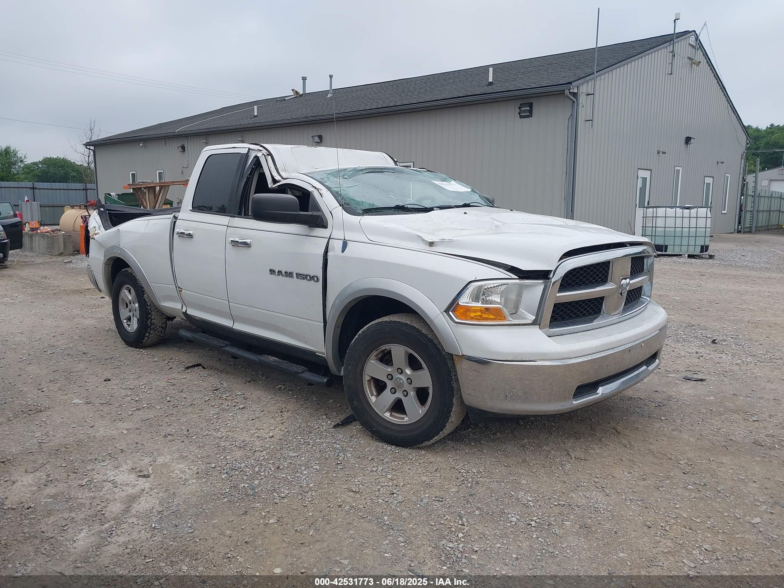 2011 Ram 1500 Lone Star, VIN 1D7RV1GPXBS673456 — Стихия