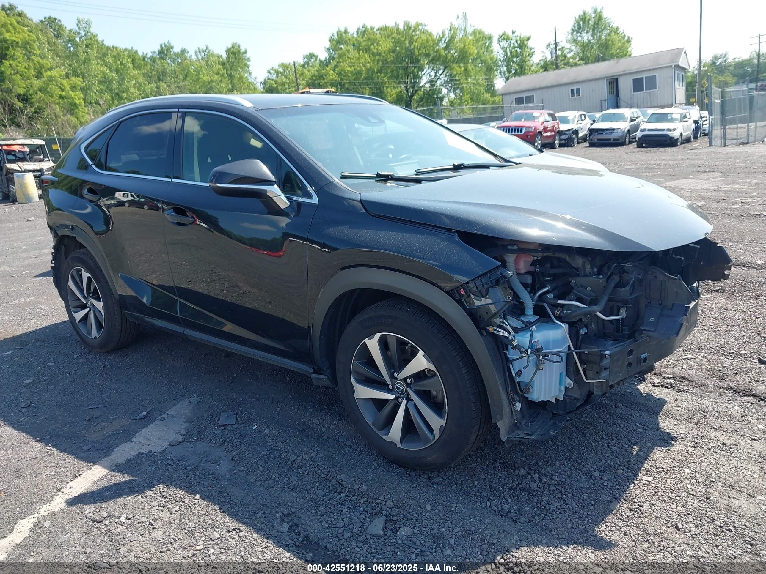 2018 Lexus NX 300, VIN JTJBARBZ7J2173085 — All over