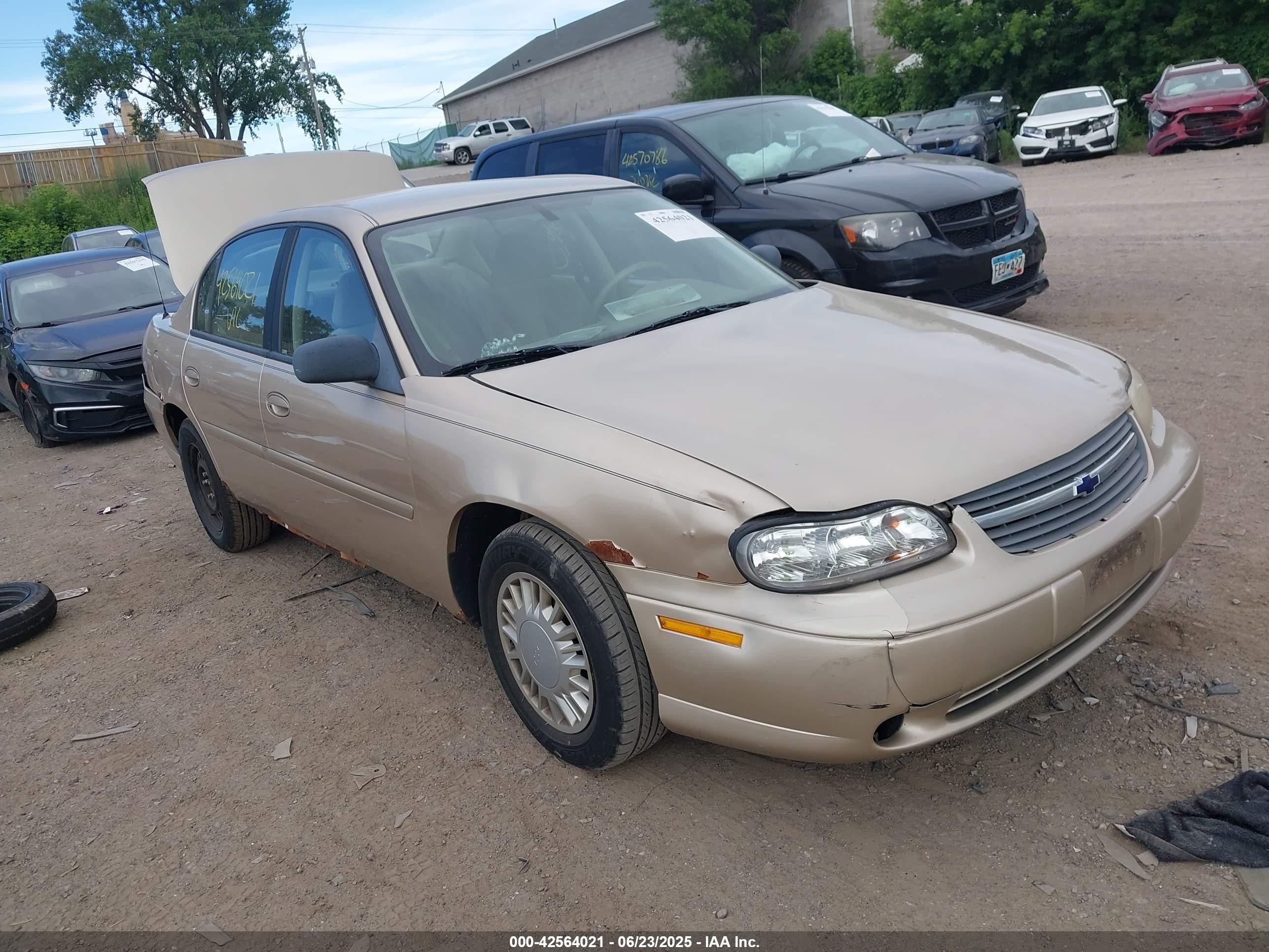 2005 Chevrolet Malibu Classic, VIN 1G1ND52F35M181550 — Rear end