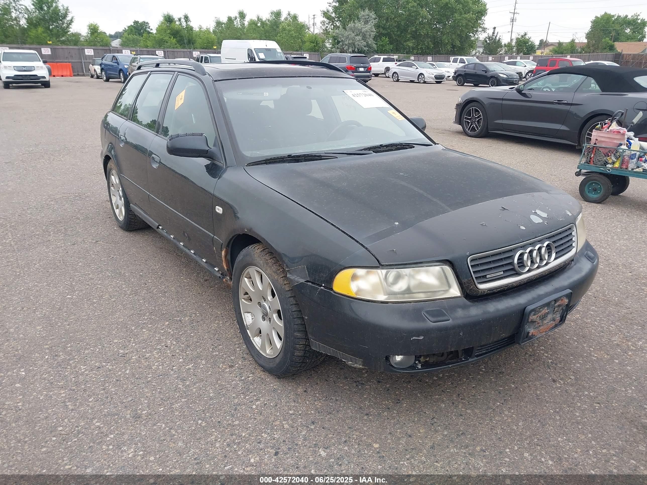 1999 Audi A4, VIN WAUGB28D3XA309541 — Биологическое загрязнение