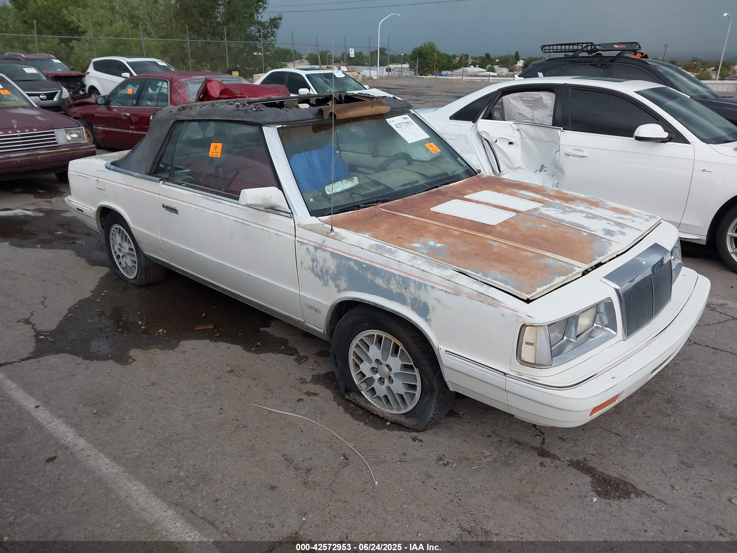 1986 Chrysler LeBaron Mark Cross, VIN 1C3BC55E8GG300487 — Биологическое загрязнение