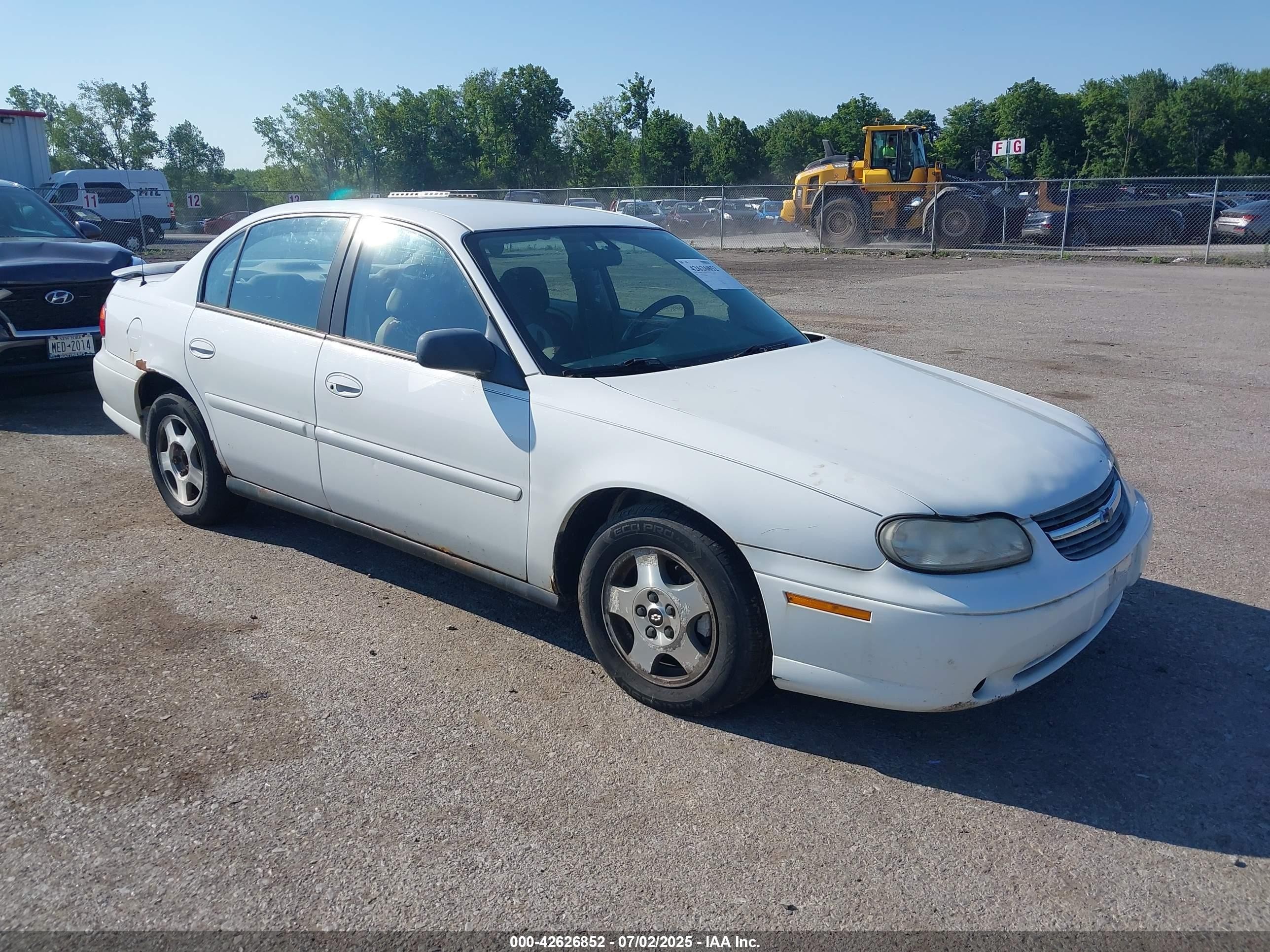 2005 Chevrolet Malibu Classic, VIN 1G1ND52F45M228018 — Side
