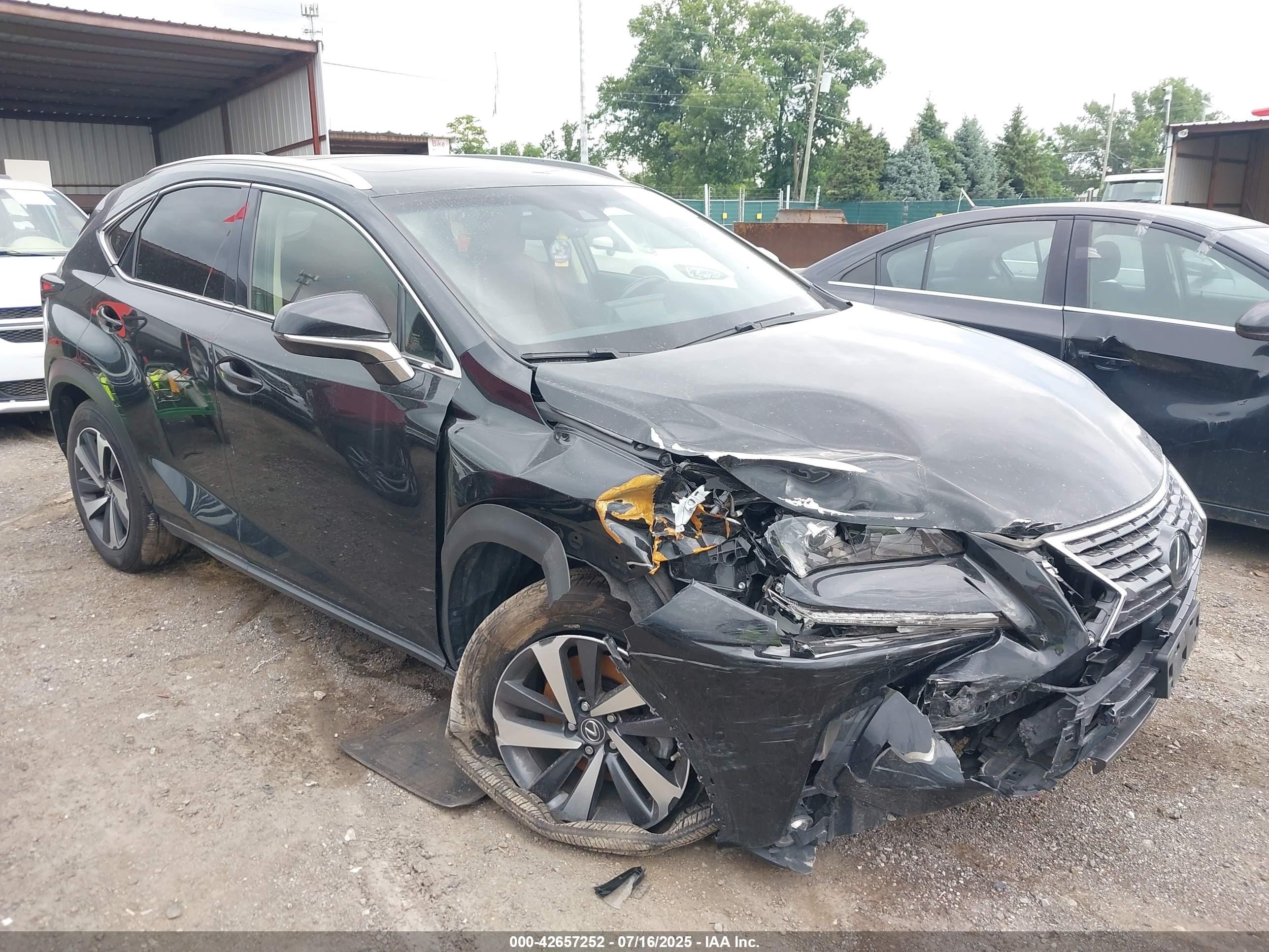 2018 Lexus NX 300, VIN JTJBARBZ0J2177592 — Front end