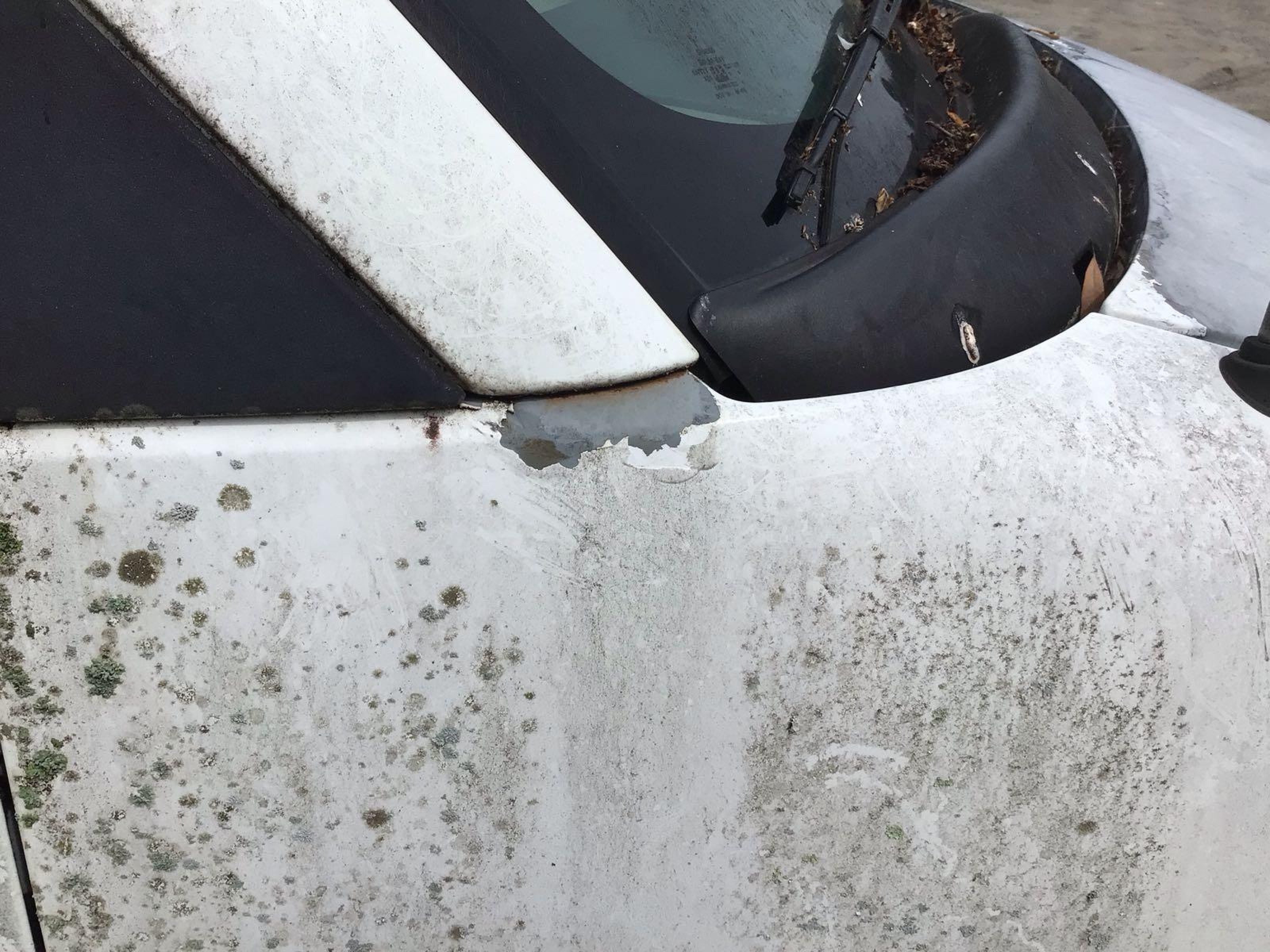 1998 Chevrolet Express G3500, VIN 1GCHG39R4W1107511 — Normal wear
