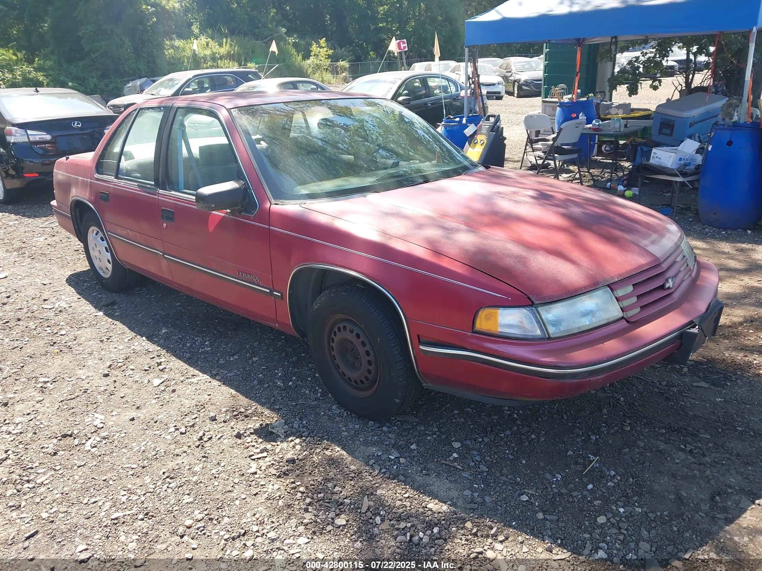 1992 Chevrolet Lumina, VIN 2G1WL54TXN9233232 — Front end