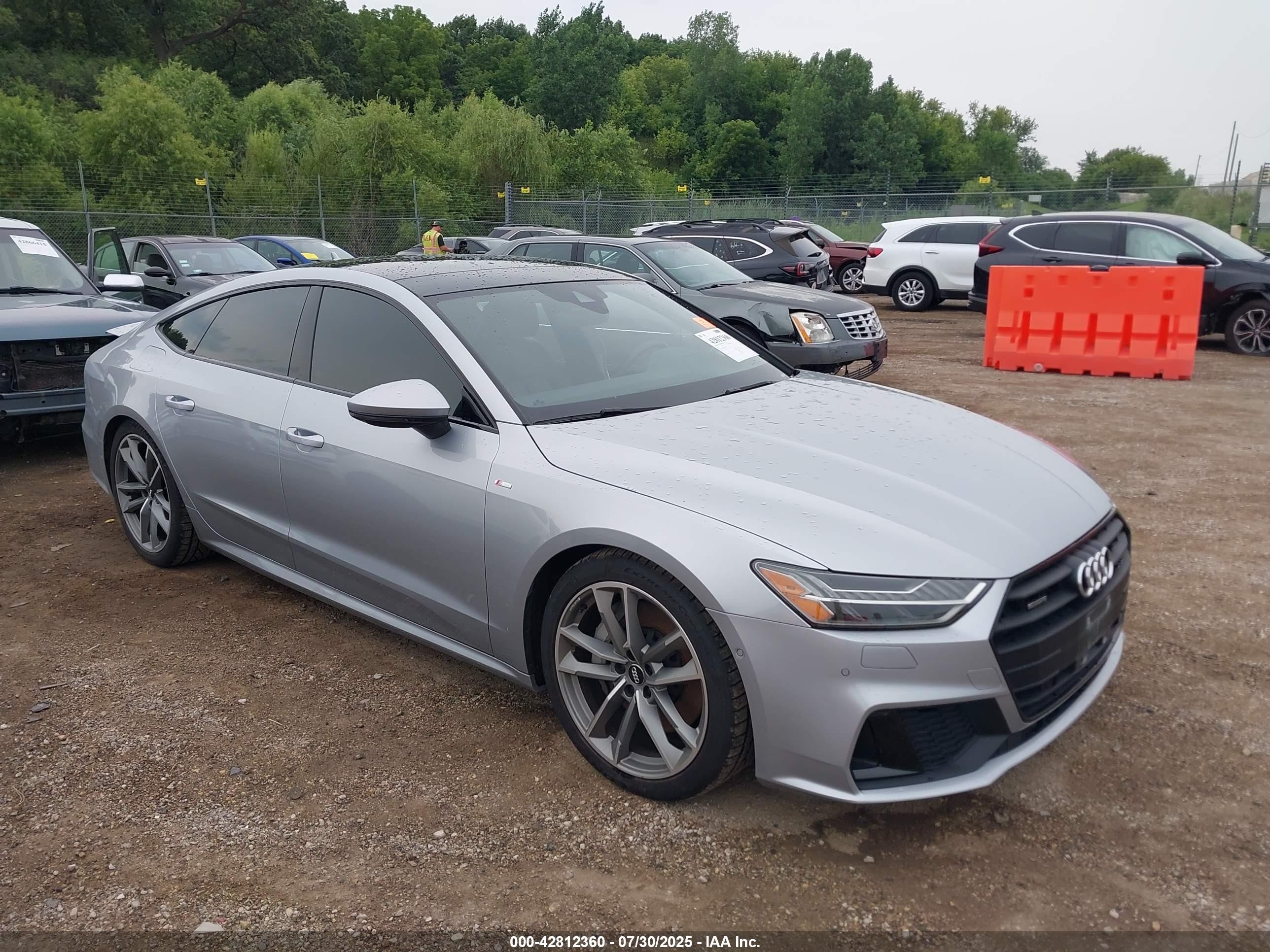 2020 Audi A7 Premium Plus, VIN WAUU2AF20LN003365 — Биологическое загрязнение
