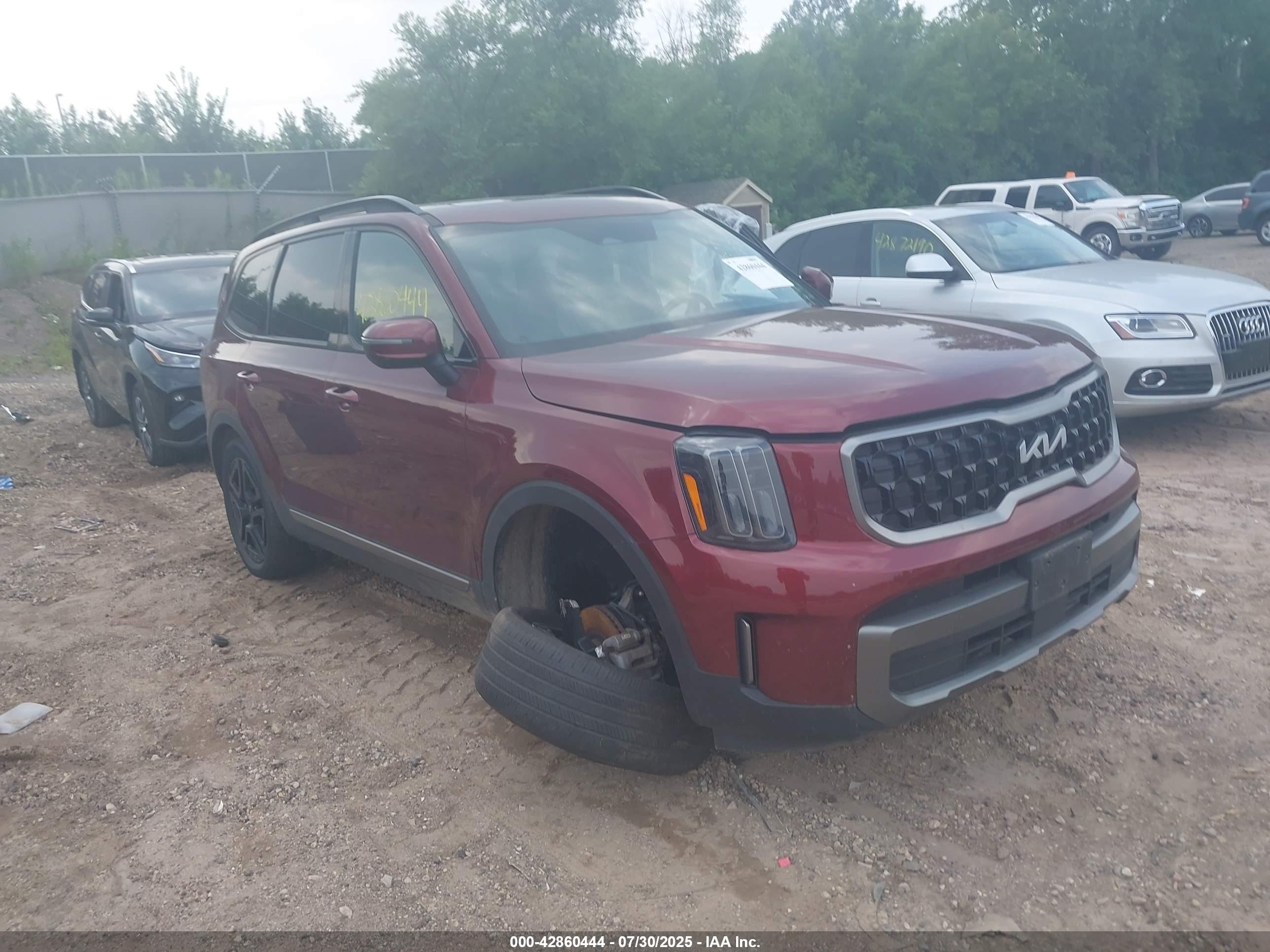 2023 Kia Telluride EX X-Line, VIN 5XYP3DGC6PG325723 — Side