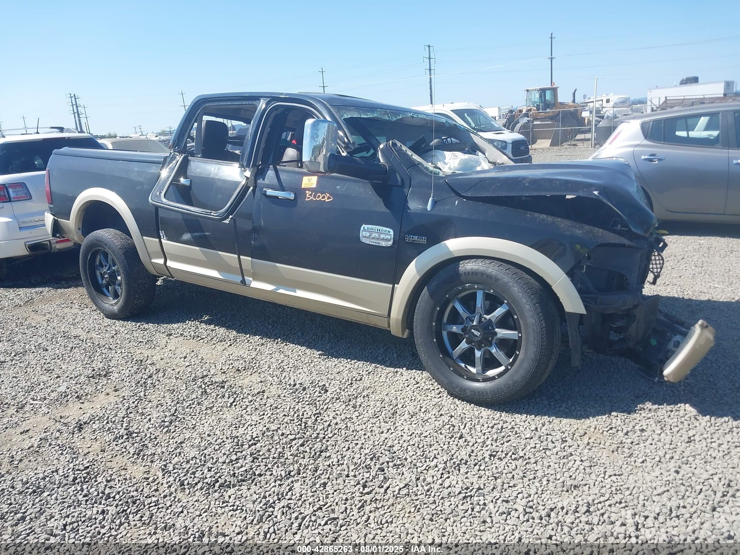 2012 Ram 1500 Laramie Longhorn, VIN 1C6RD6PT9CS208232 — Биологическое загрязнение