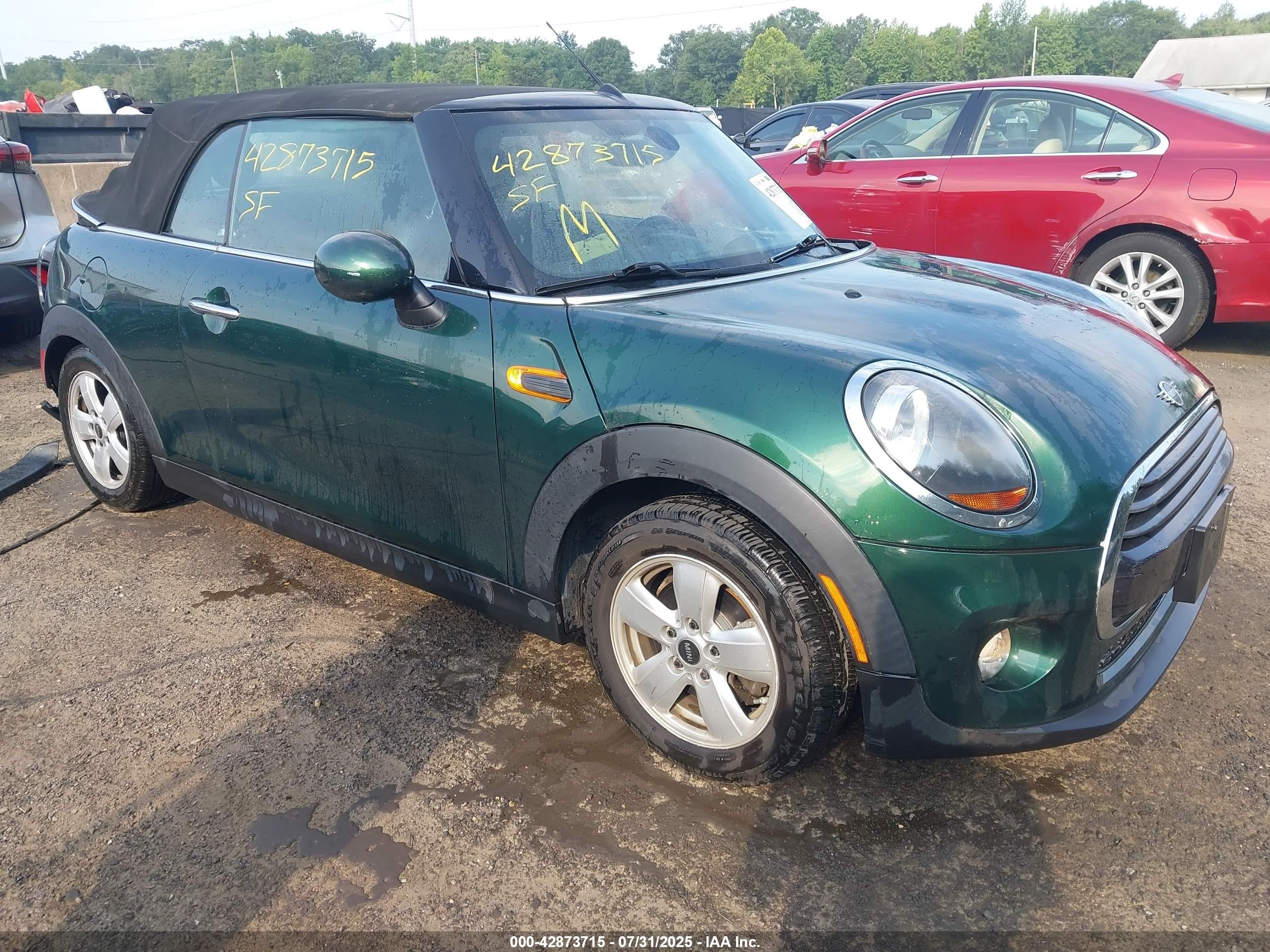 2019 MINI Convertible Cooper, VIN WMWWG5C53K3F79562 — Зад
