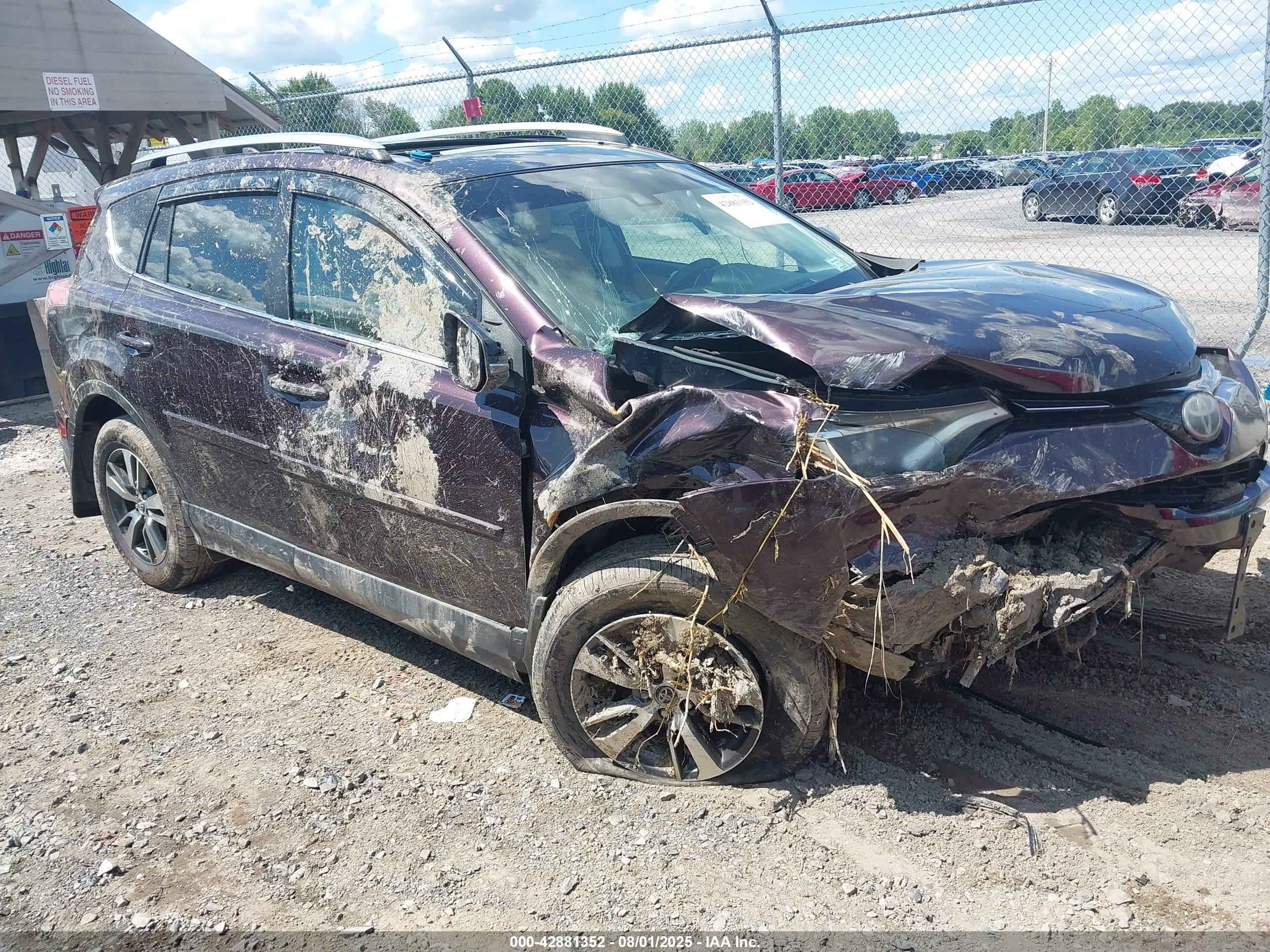 2017 Toyota RAV4 XLE, VIN 2T3RFREV9HW637460 — Front end