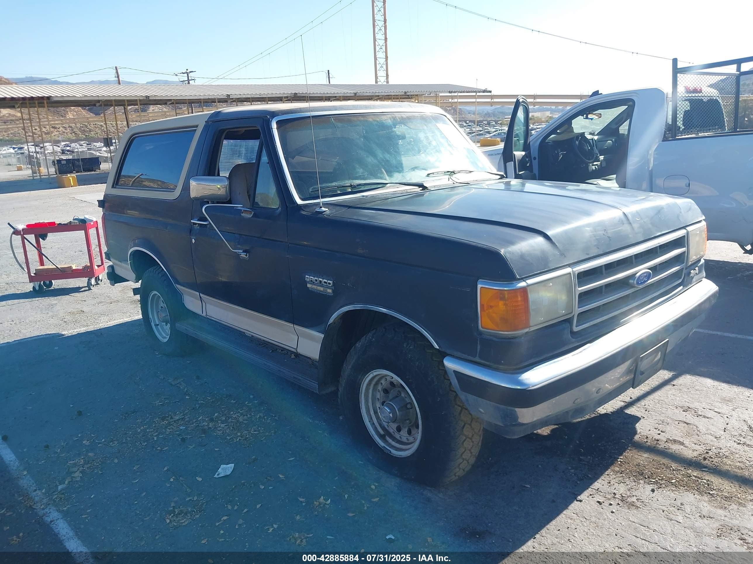 1991 Ford Bronco Custom, VIN 1FMEU15H8MLA48036 — Front end