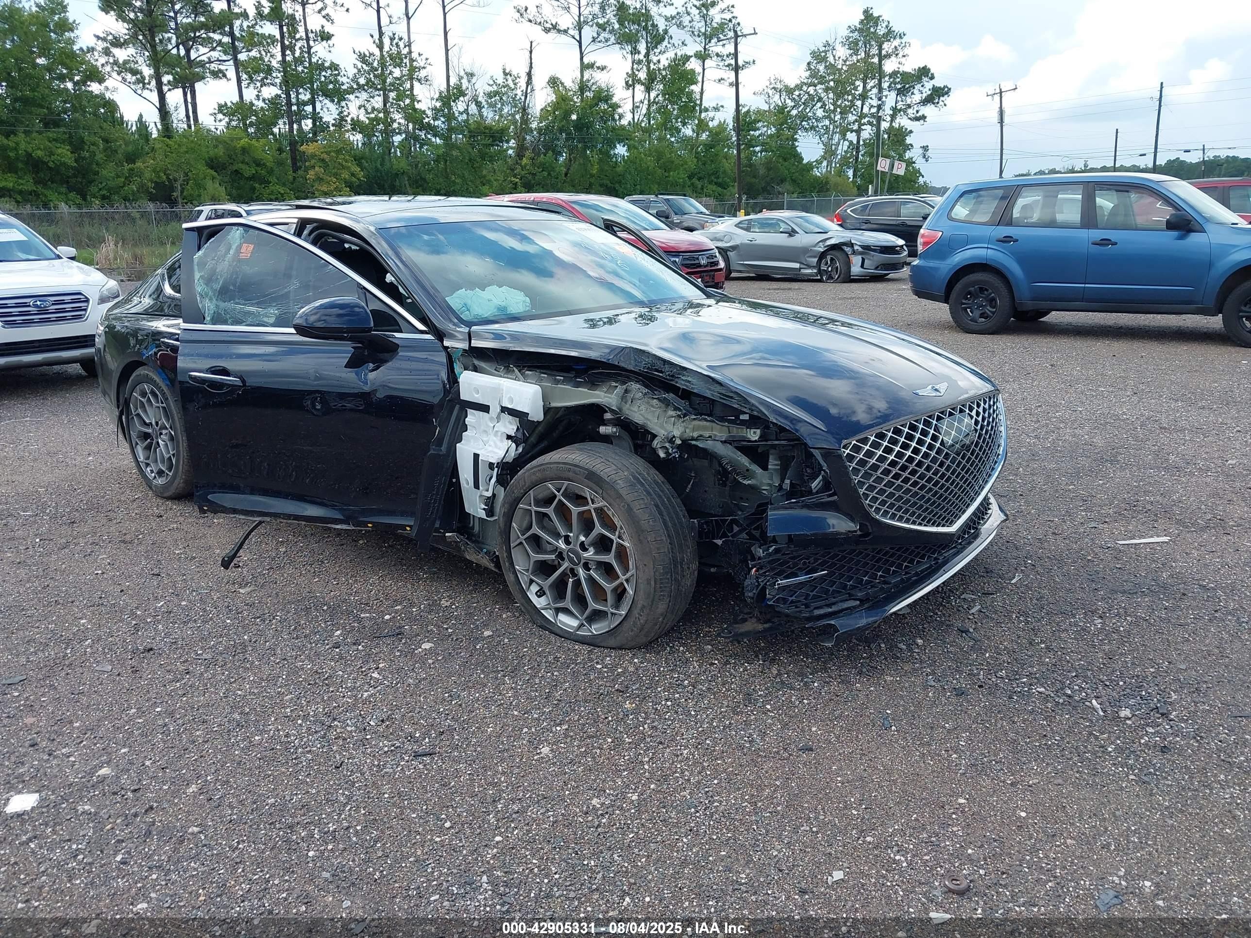 2022 Genesis G80 2.5T, VIN KMTGB4SC9NU139021 — Биологическое загрязнение
