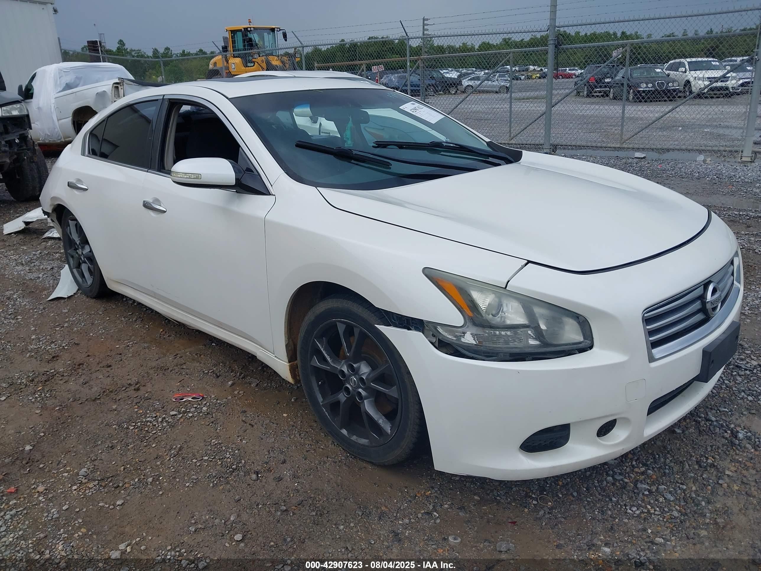 2012 Nissan Maxima SV, VIN 1N4AA5AP8CC823035 — Биологическое загрязнение