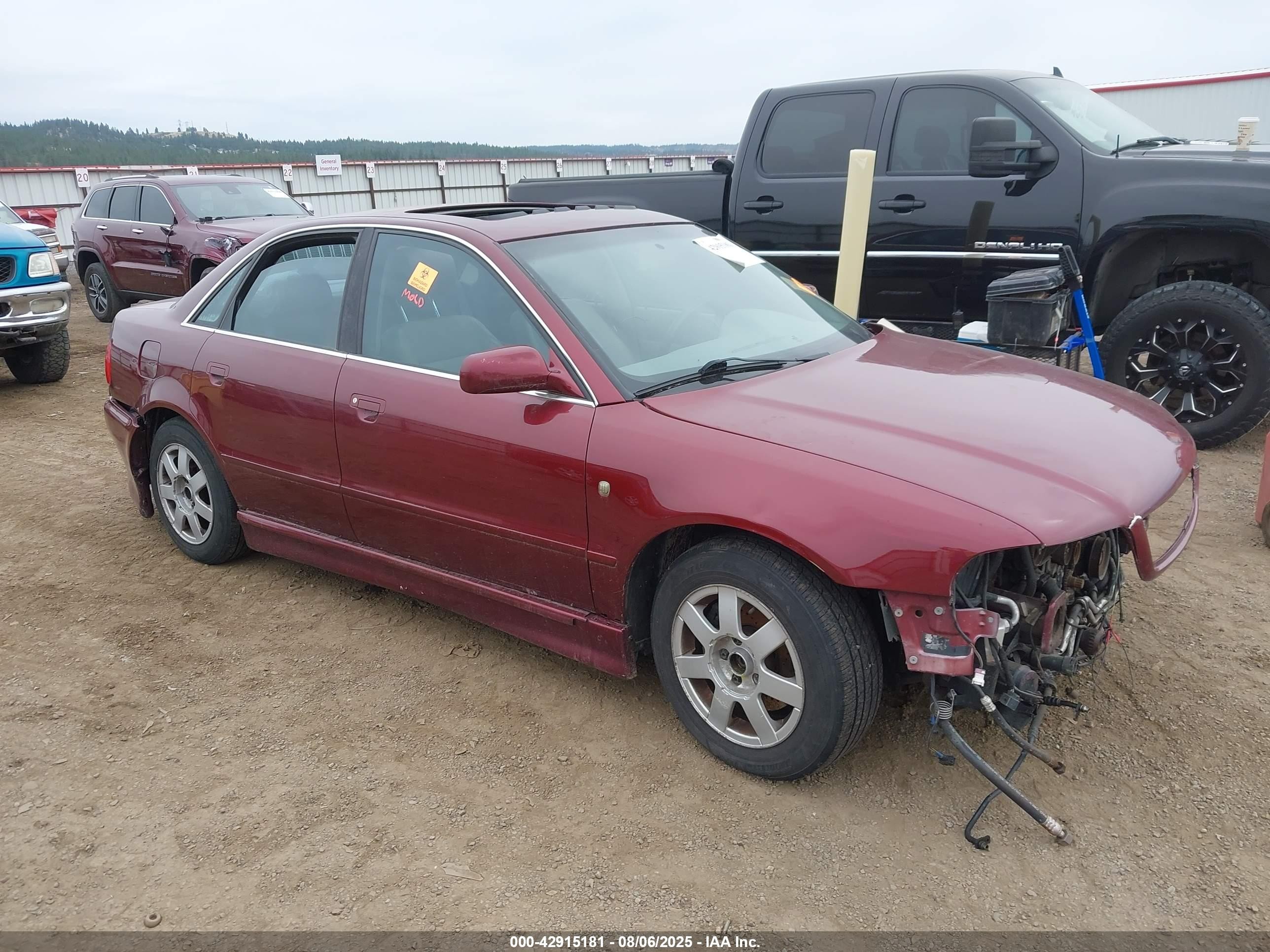1999 Audi A4, VIN WAUED28D2XA046735 — Биологическое загрязнение