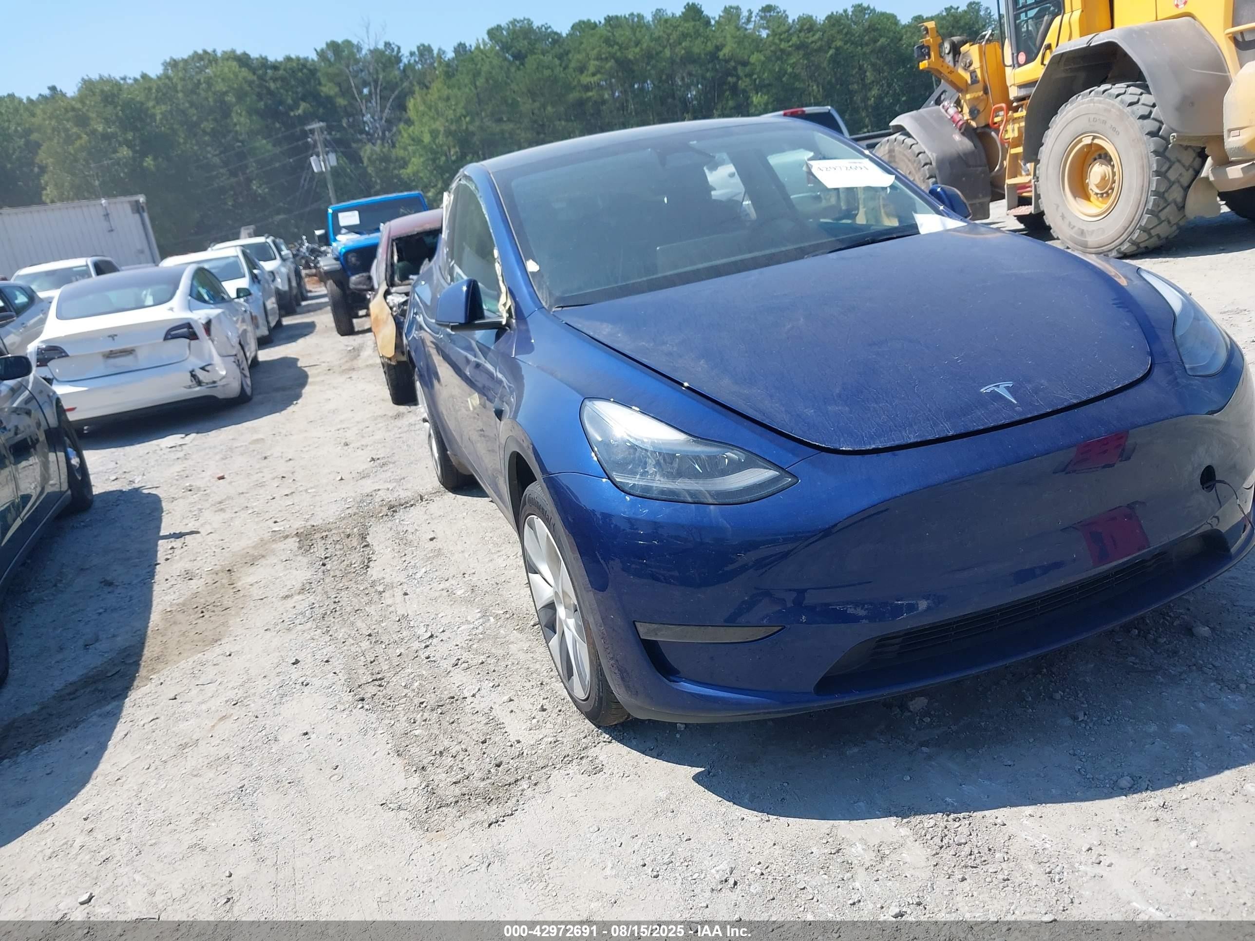 2024 Tesla Model Y Long Range, VIN 7SAYGDEE0RA269284 — Rear end
