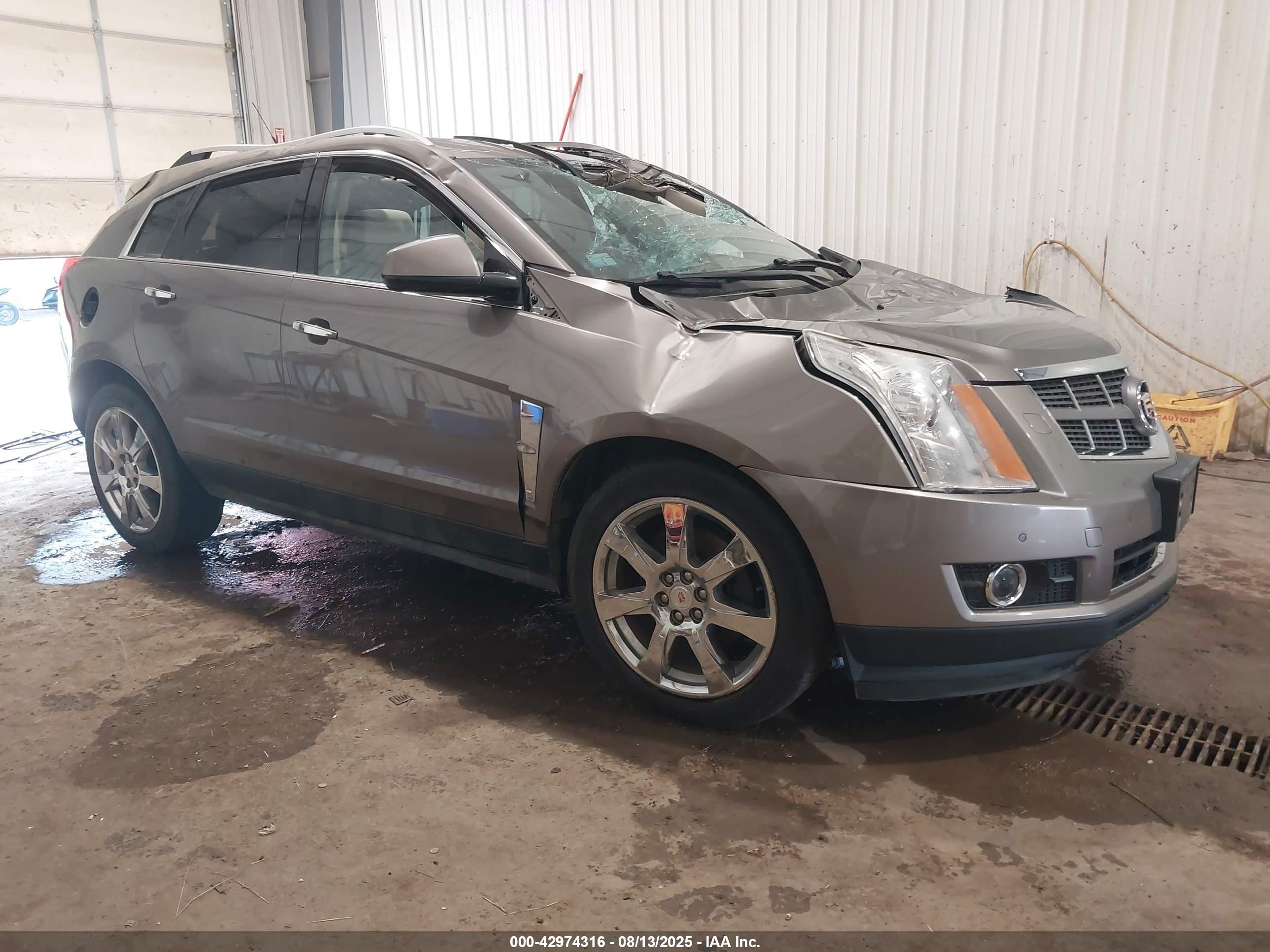 2011 Cadillac SRX Premium Collection, VIN 3GYFNFEY7BS675735 — Storm