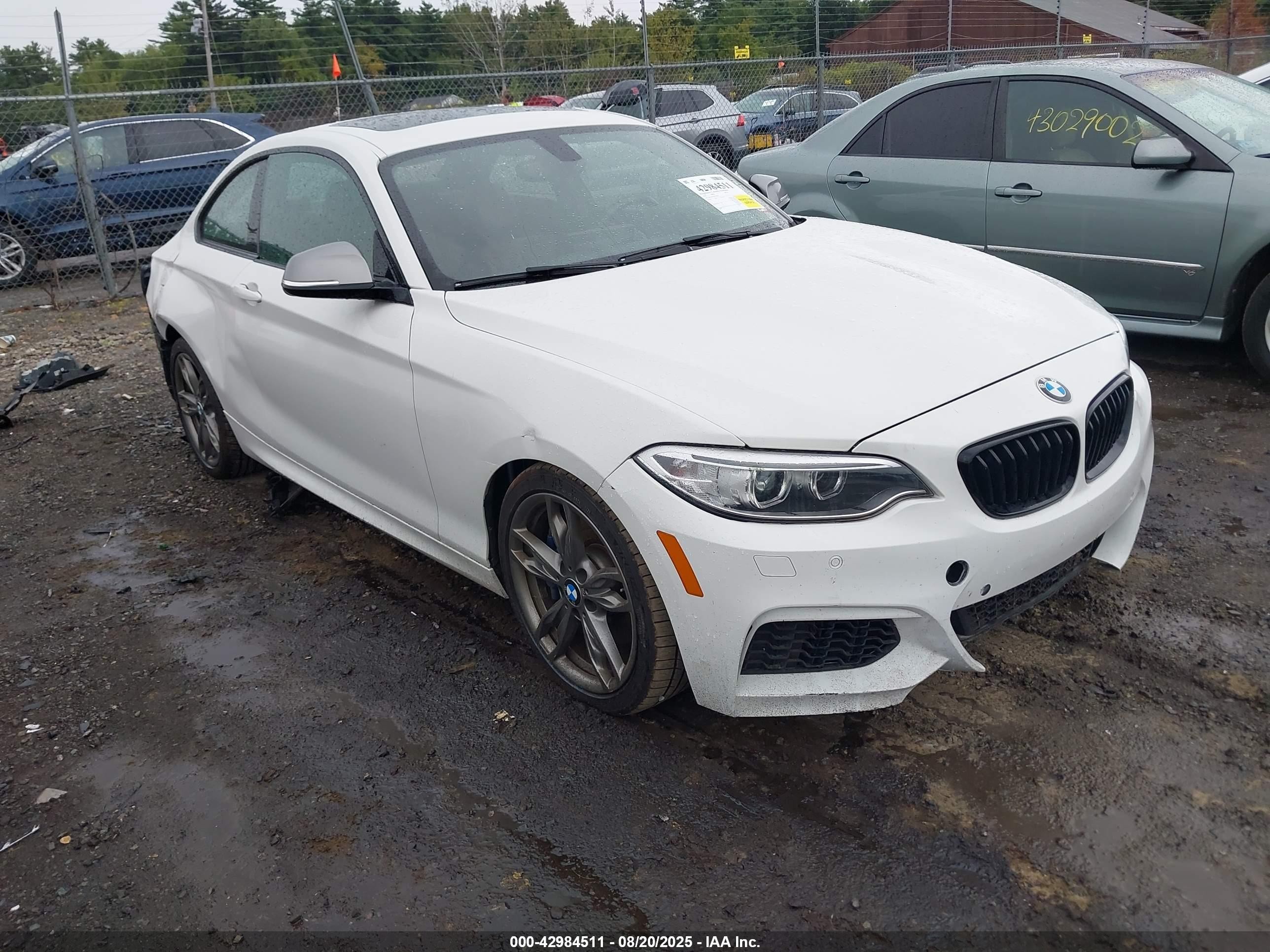 2016 BMW 2 Series M235i, VIN WBA1J7C50GV359814 — Rear end