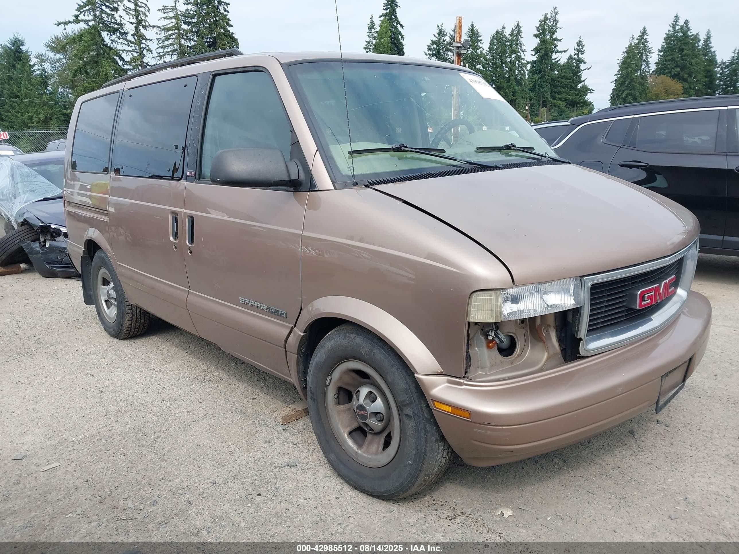 2001 GMC Safari, VIN 1GKEL19W81B504137 — Front end