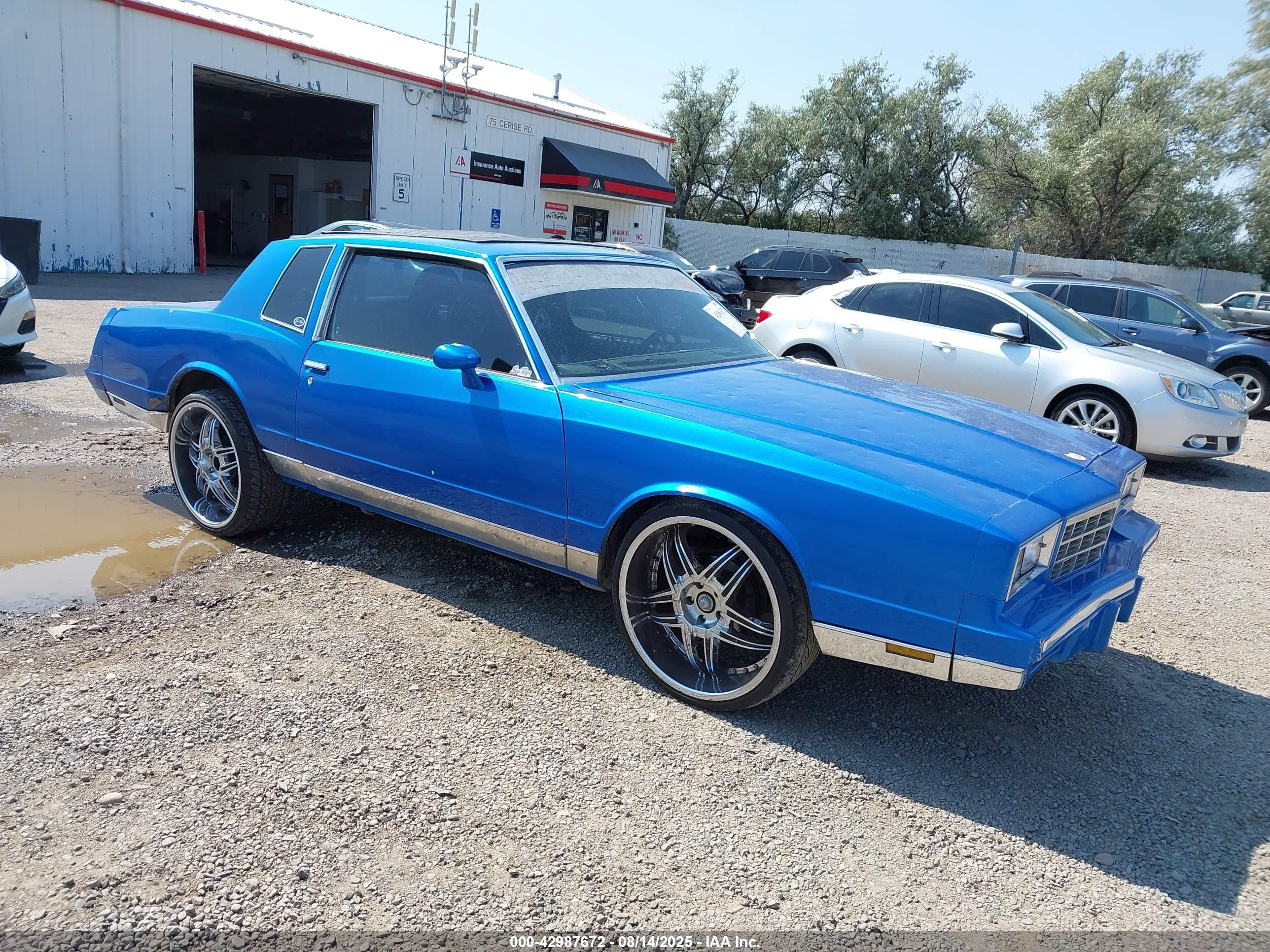 1981 Chevrolet Monte Carlo, VIN 2G1AZ37J8B1451493 — Hail