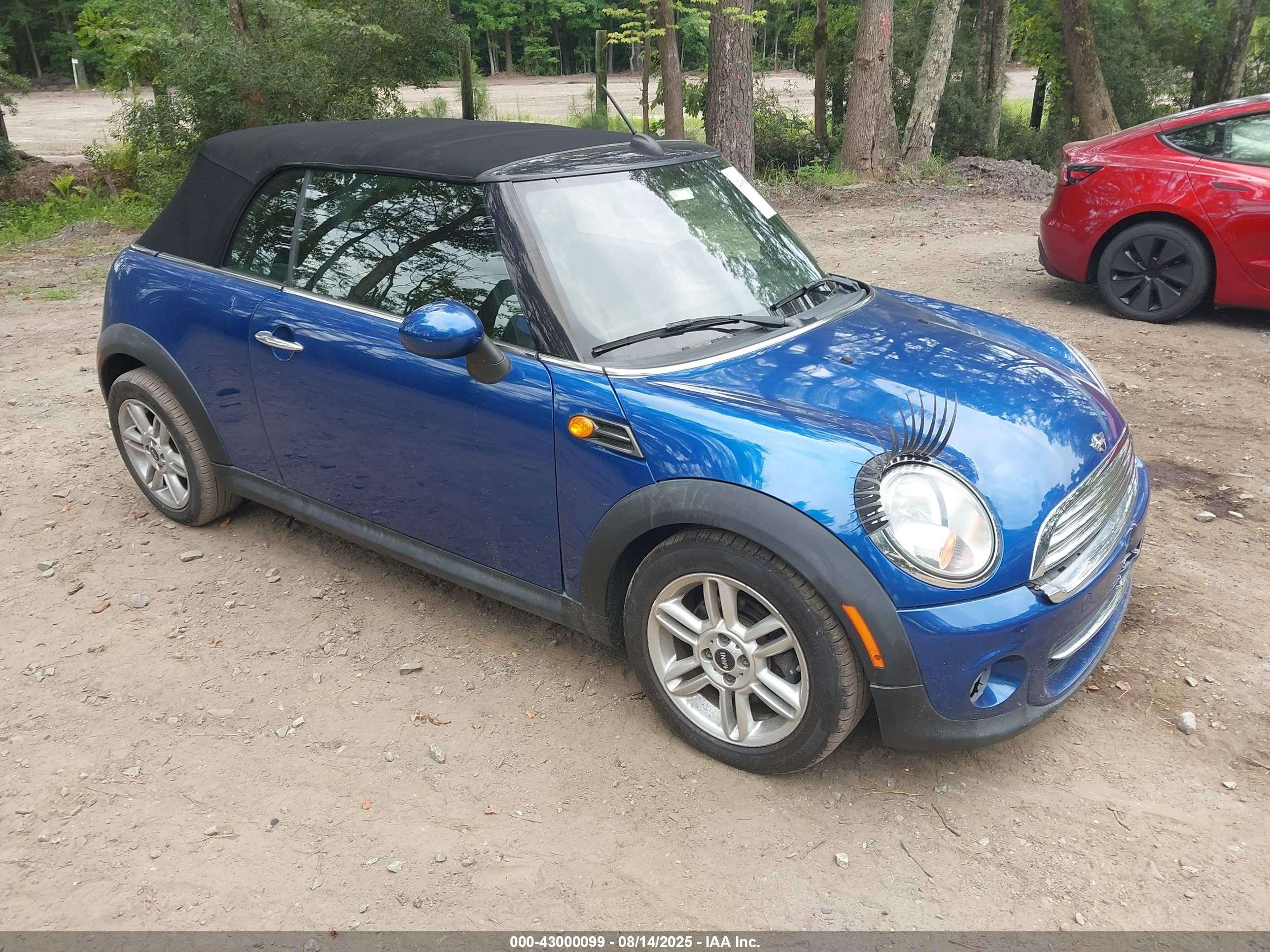 2013 MINI Convertible, VIN WMWZN3C51DT266324 — Зад
