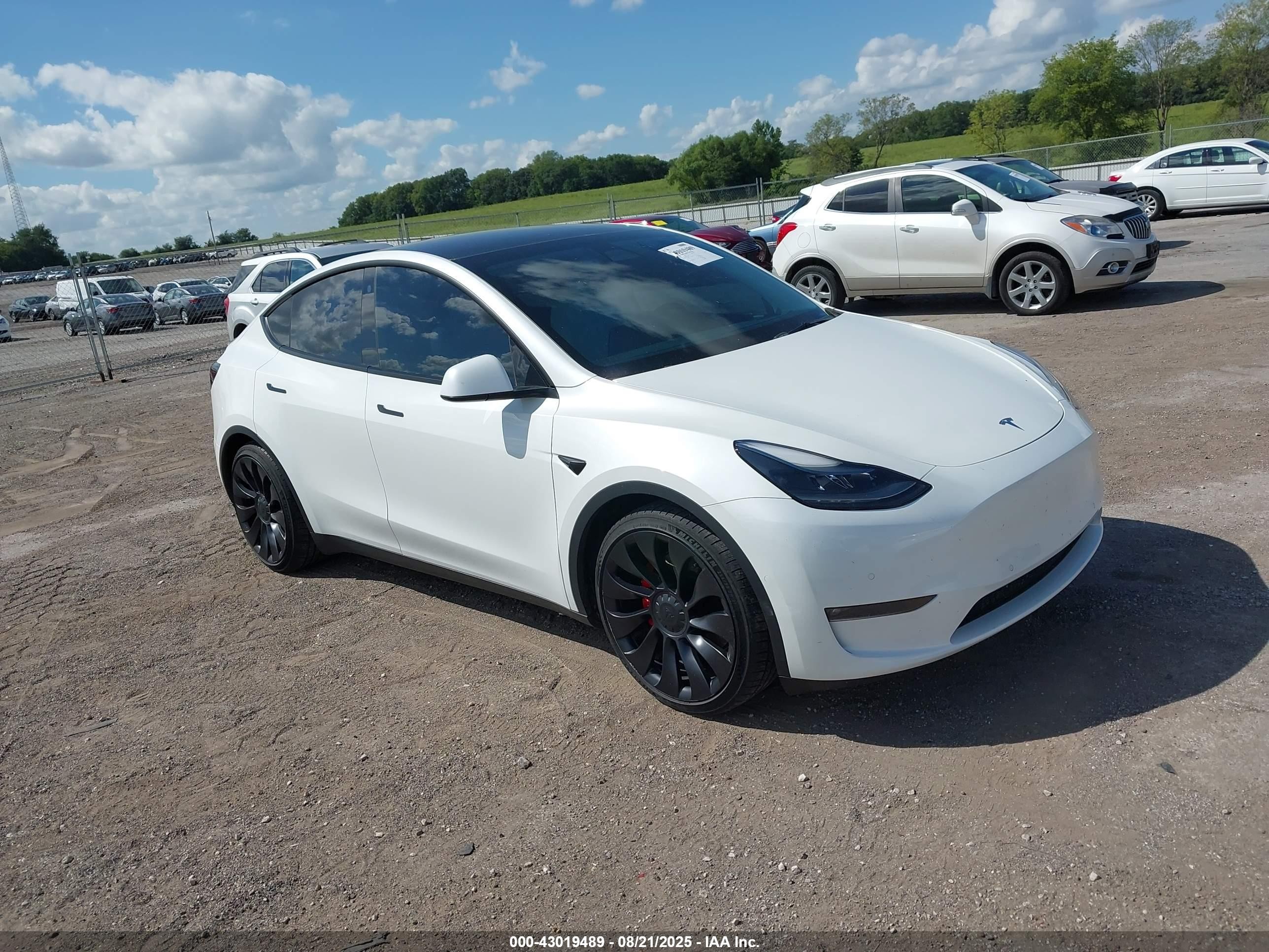 2022 Tesla Model Y Performance, VIN 7SAYGDEF3NF326891 — Пресная вода