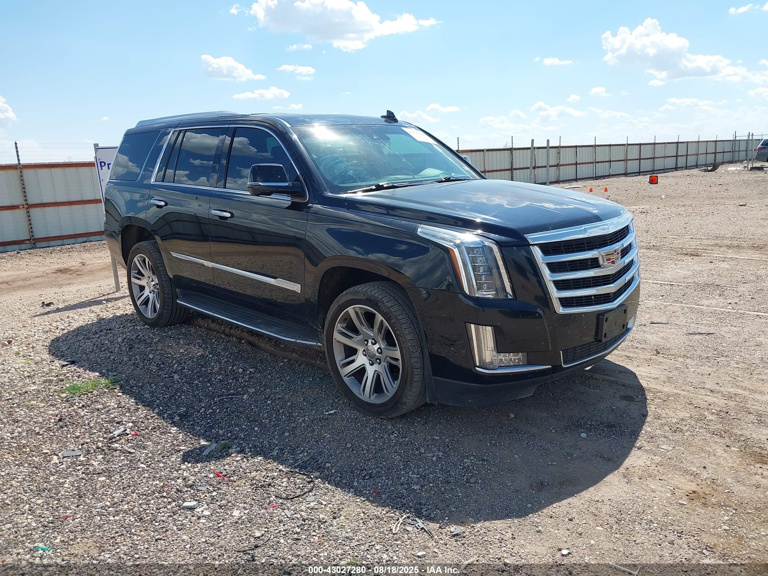 2017 Cadillac Escalade Luxury, VIN 1GYS4BKJXHR189983 — Storm
