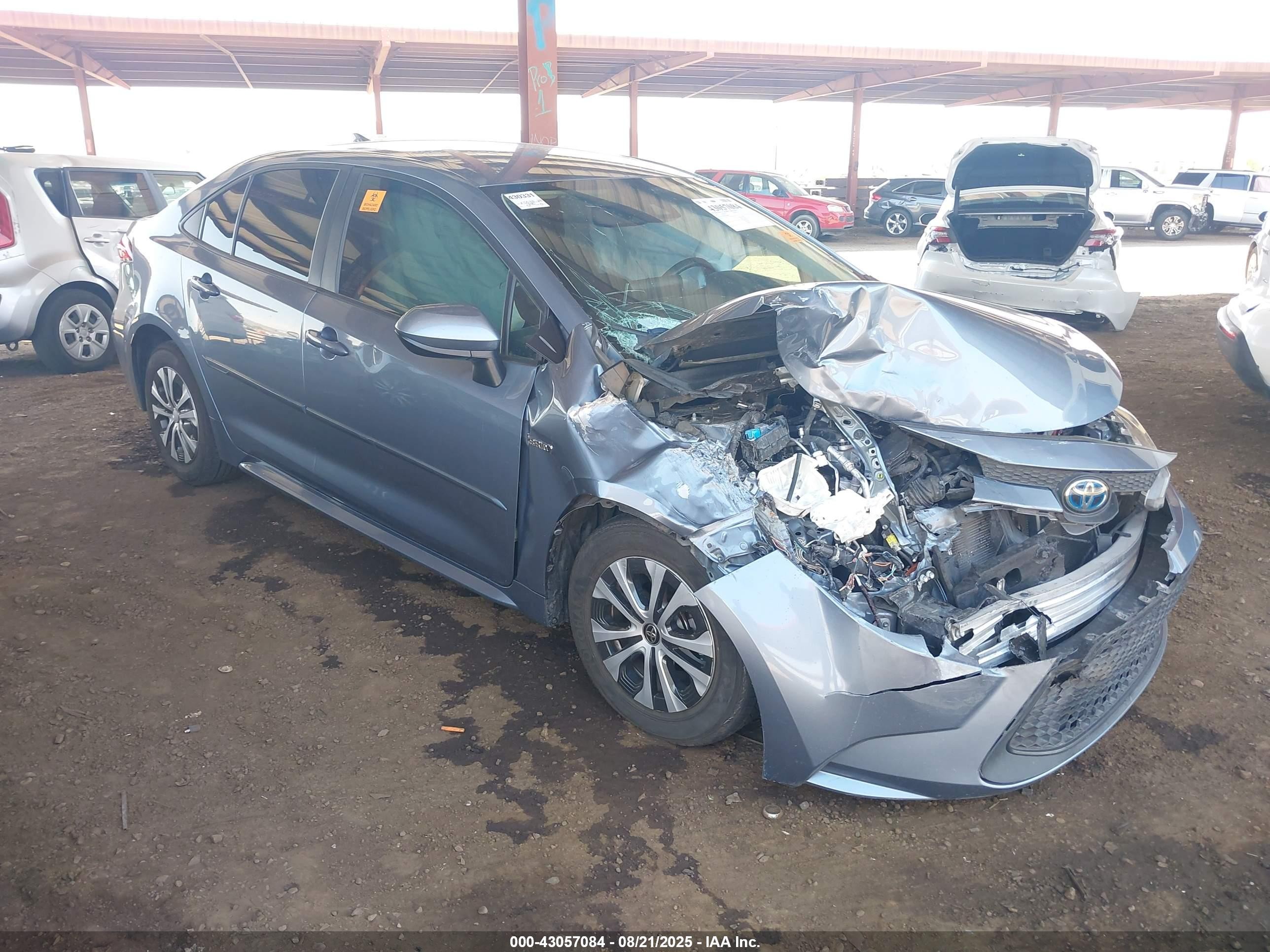 2021 Toyota Corolla Hybrid LE, VIN JTDEAMDEXMJ006971 — Biohazard / chemical