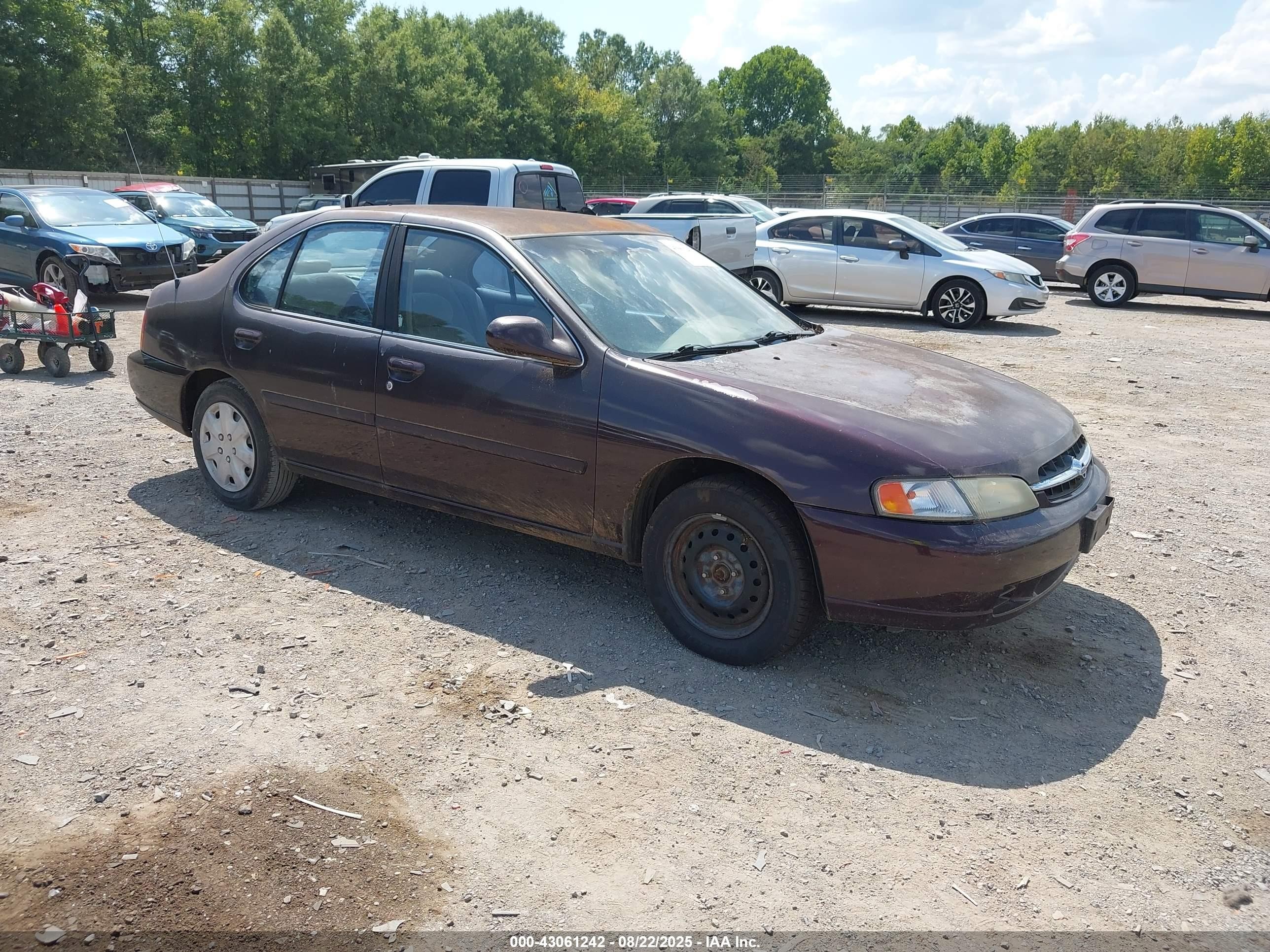 1999 Nissan Altima XE, VIN 1N4DL01D3XC124594 — Normal wear
